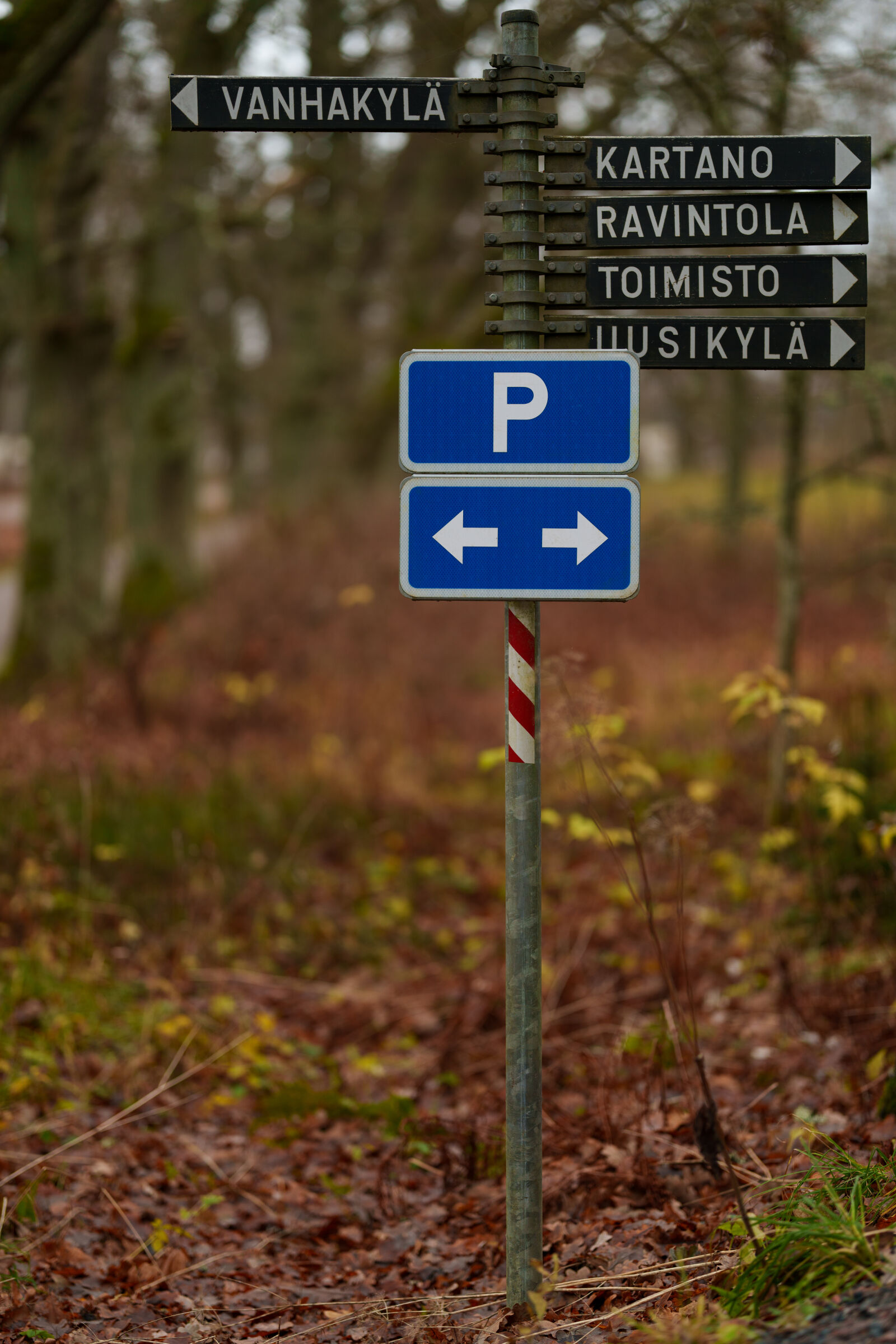 Sony FE 85mm F1.4 GM II sample photo. P for parking photography