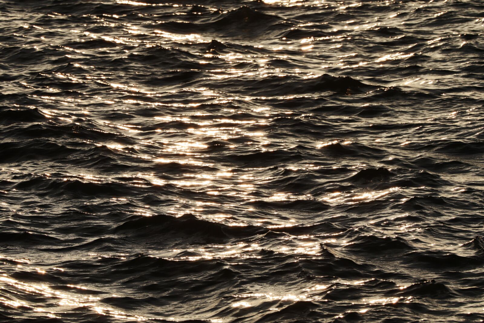 Canon EOS 200D (EOS Rebel SL2 / EOS Kiss X9) sample photo. Water, light, mirroring photography