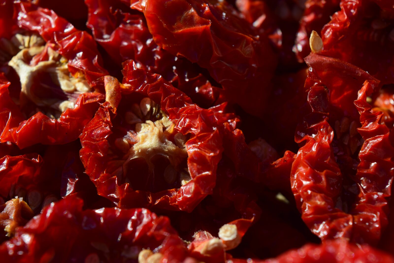 Nikon D3300 sample photo. Tomatoes, dried tomatoes, food photography