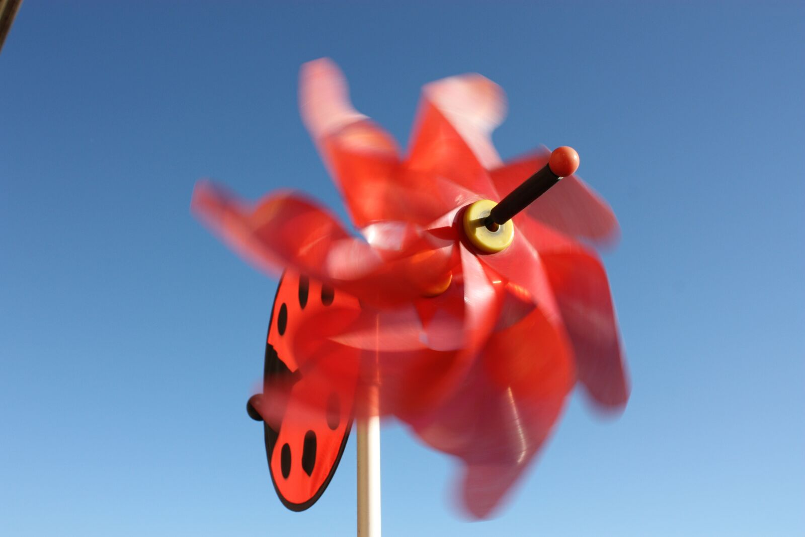 Canon EOS 450D (EOS Rebel XSi / EOS Kiss X2) sample photo. The swivel, pinwheel, wind photography