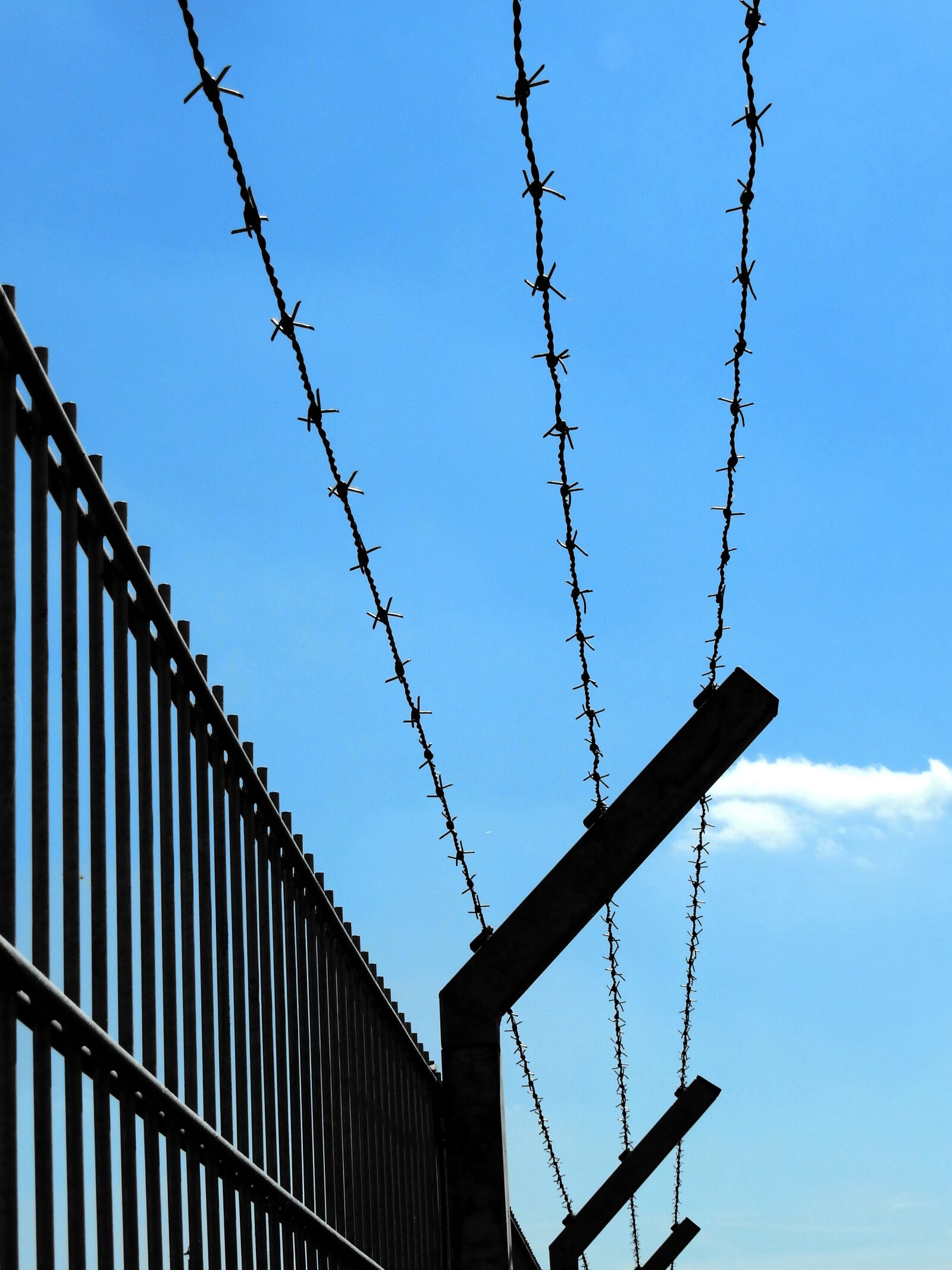 Nikon Coolpix P900 sample photo. Fence, security, sure photography