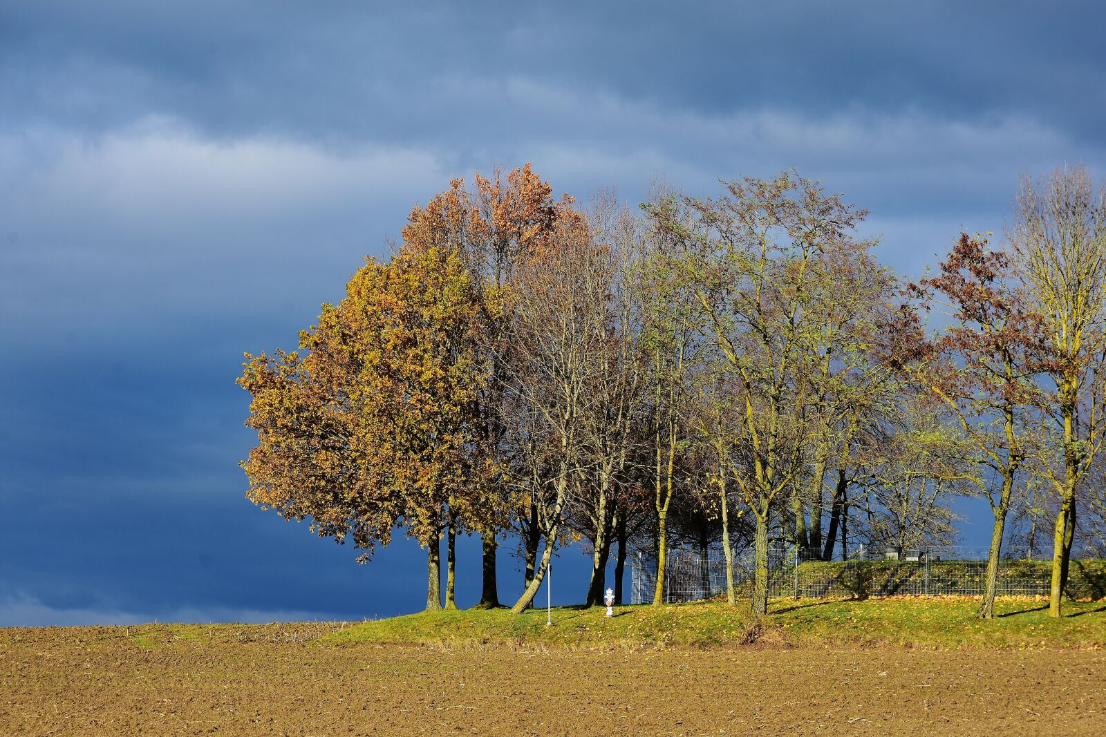 Nikon D7200 sample photo. Landscape, tree, sunlight photography