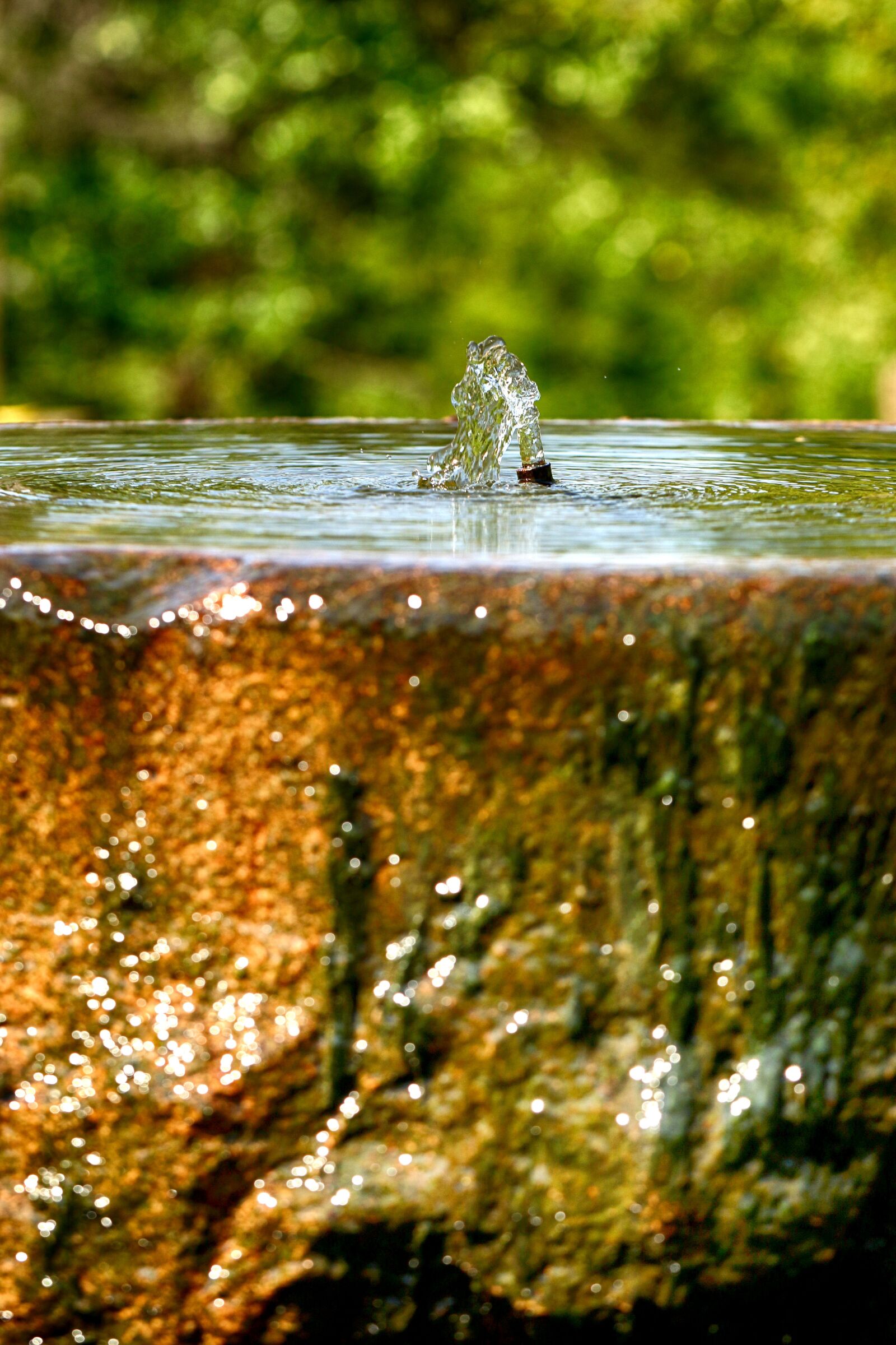 Canon EOS 7D Mark II sample photo. Water, garden, nature photography
