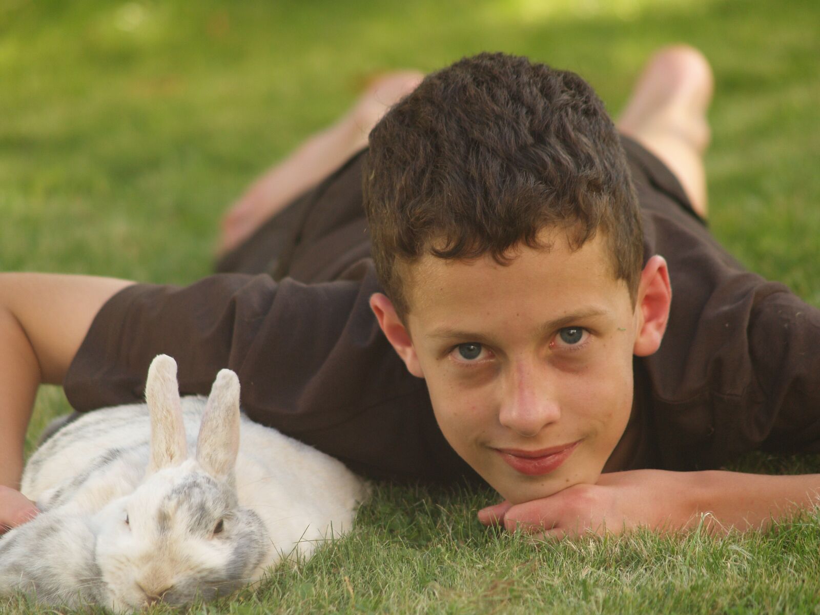 Olympus E-500 (EVOLT E-500) sample photo. Pets, rabbit, hare photography