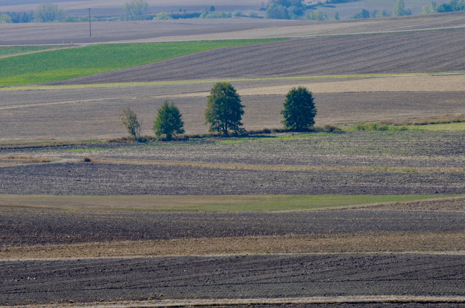 Nikon D5100 sample photo. Arable, fields, agriculture photography