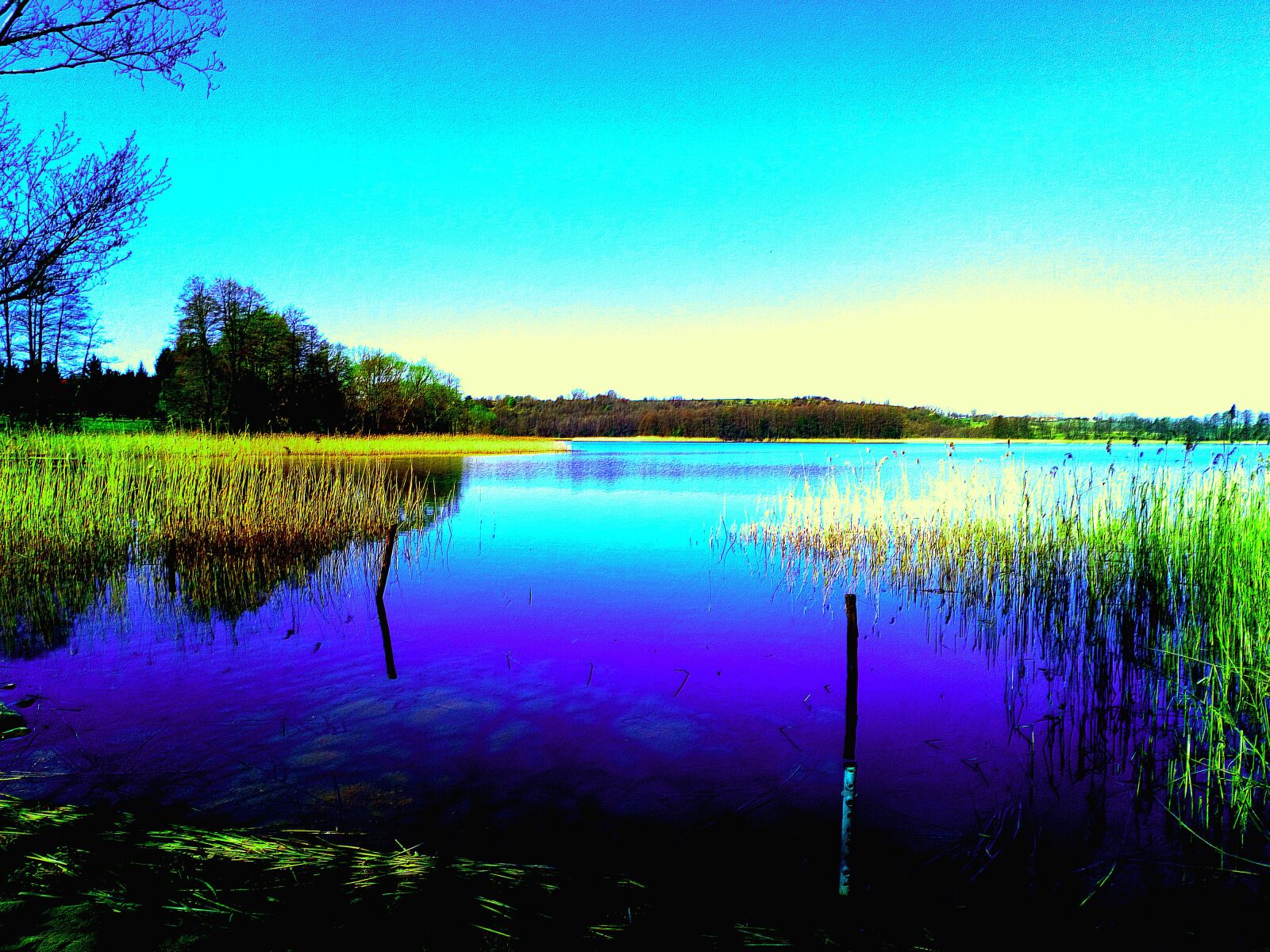 Sony Xperia L1 sample photo. Lake, colors, landscape photography
