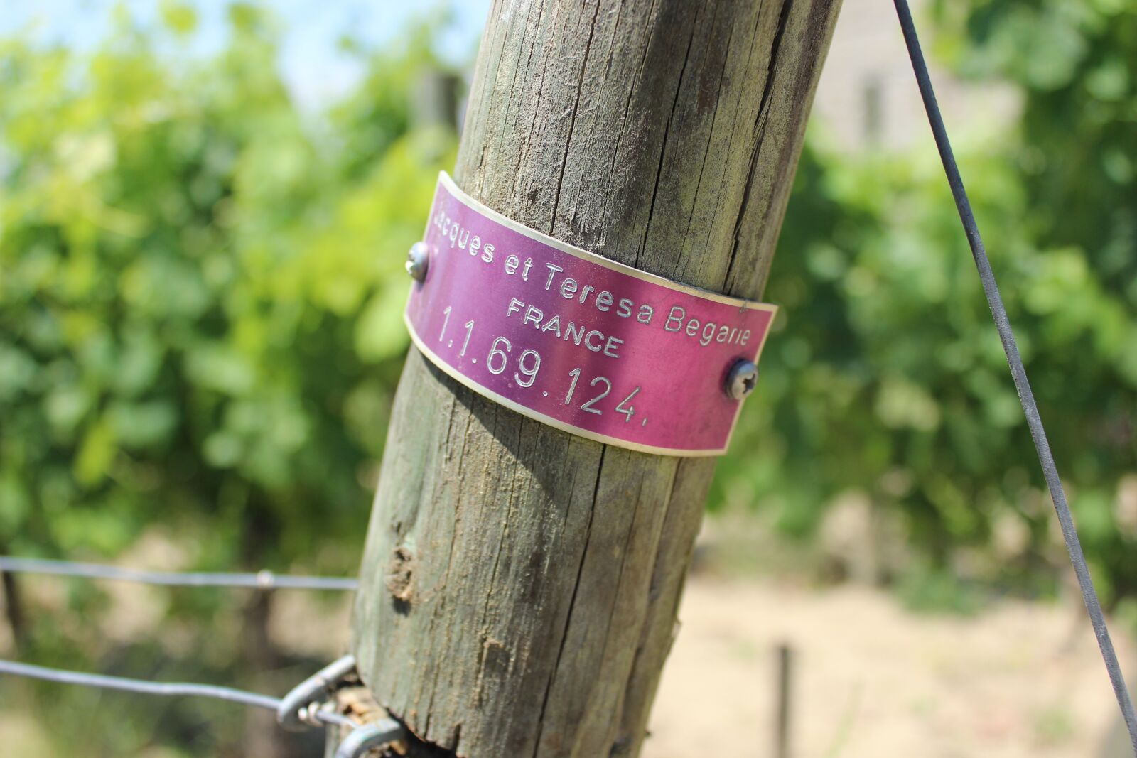 Canon EOS 600D (Rebel EOS T3i / EOS Kiss X5) sample photo. Nature, wood, outdoor photography