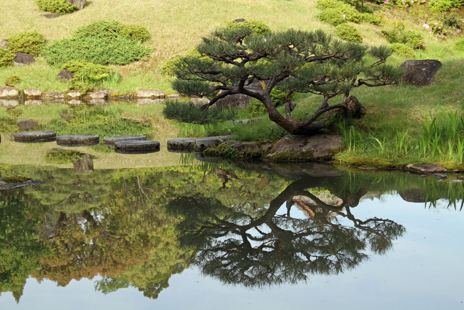 Canon EOS 7D sample photo. Garden, japanese, reflection photography