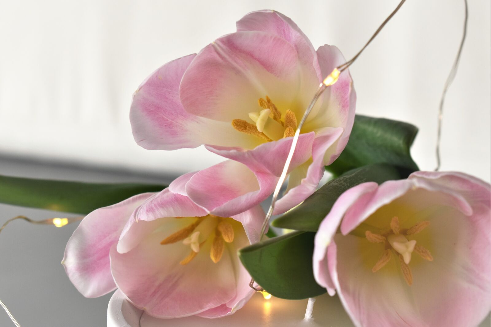Nikon D5500 sample photo. Decoration, deco, table decorations photography