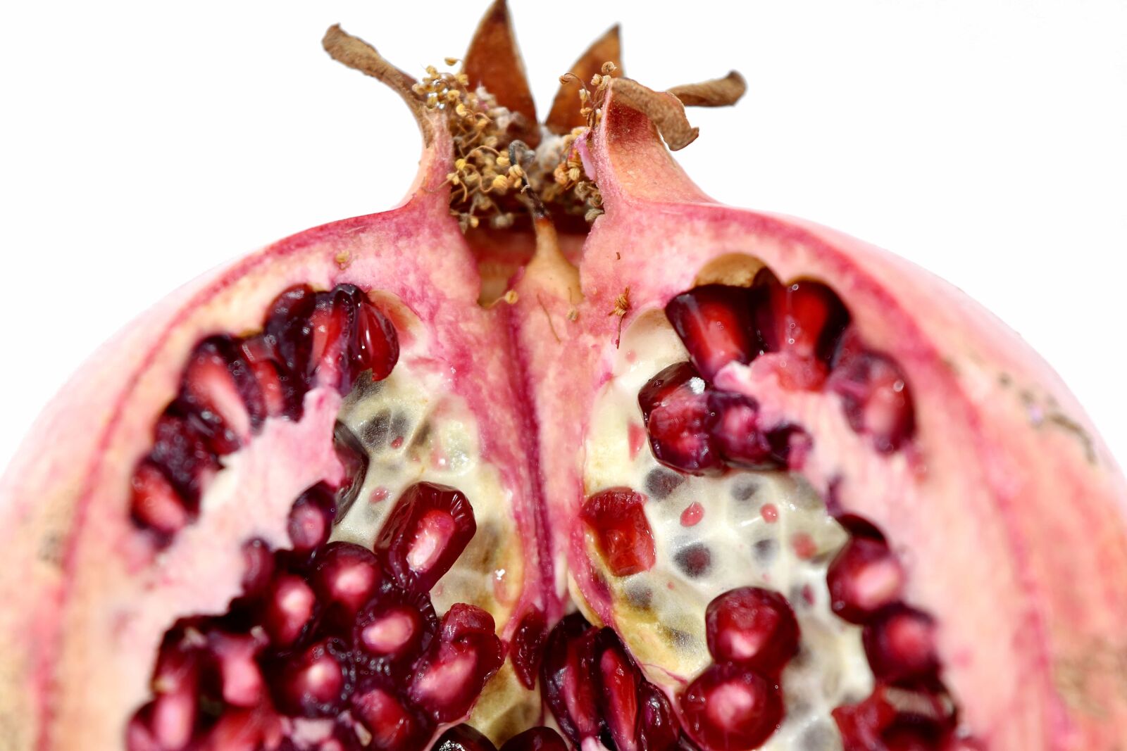 Nikon D5500 sample photo. Close-up, cross section, pomegranate photography