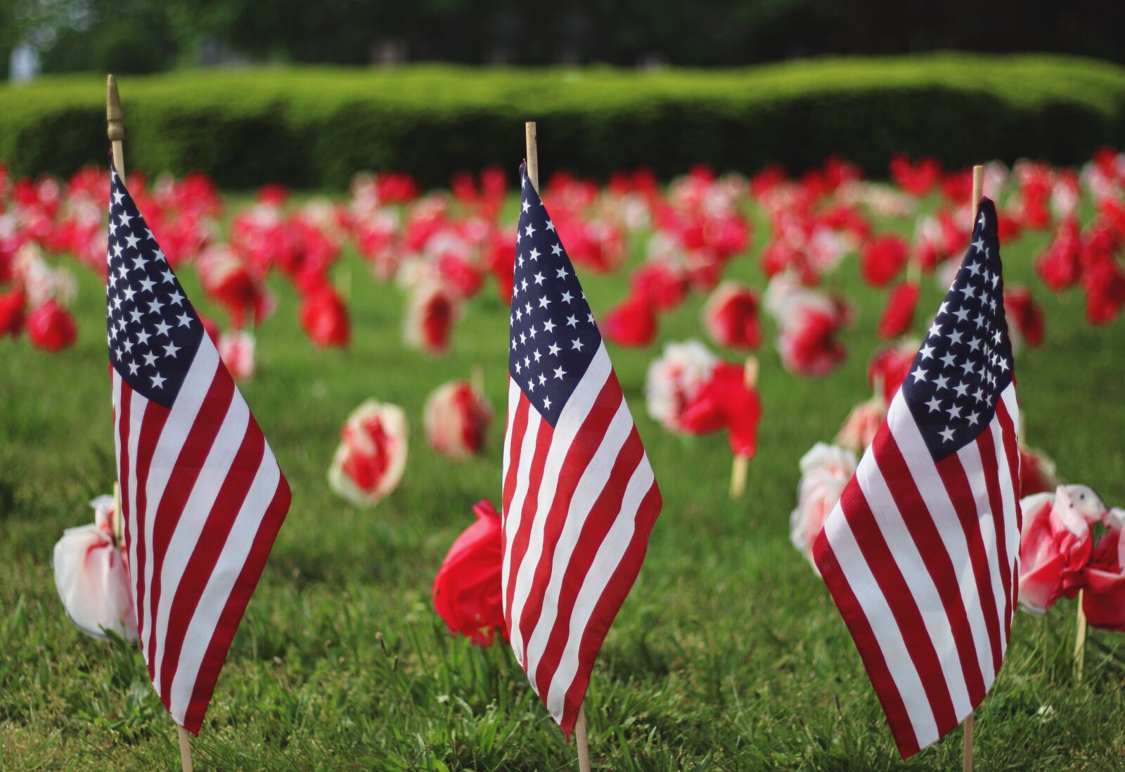 Canon EOS 700D (EOS Rebel T5i / EOS Kiss X7i) sample photo. Memorial day, holiday, american photography