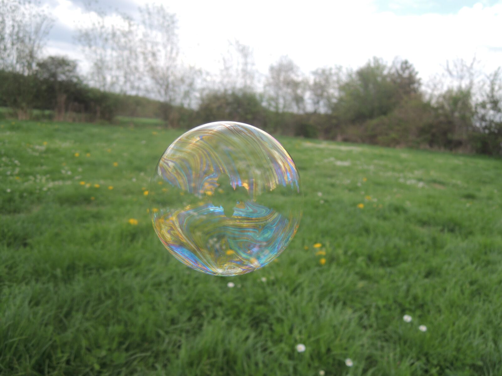 Nikon Coolpix P310 sample photo. Bubble, soap bubble, grass photography