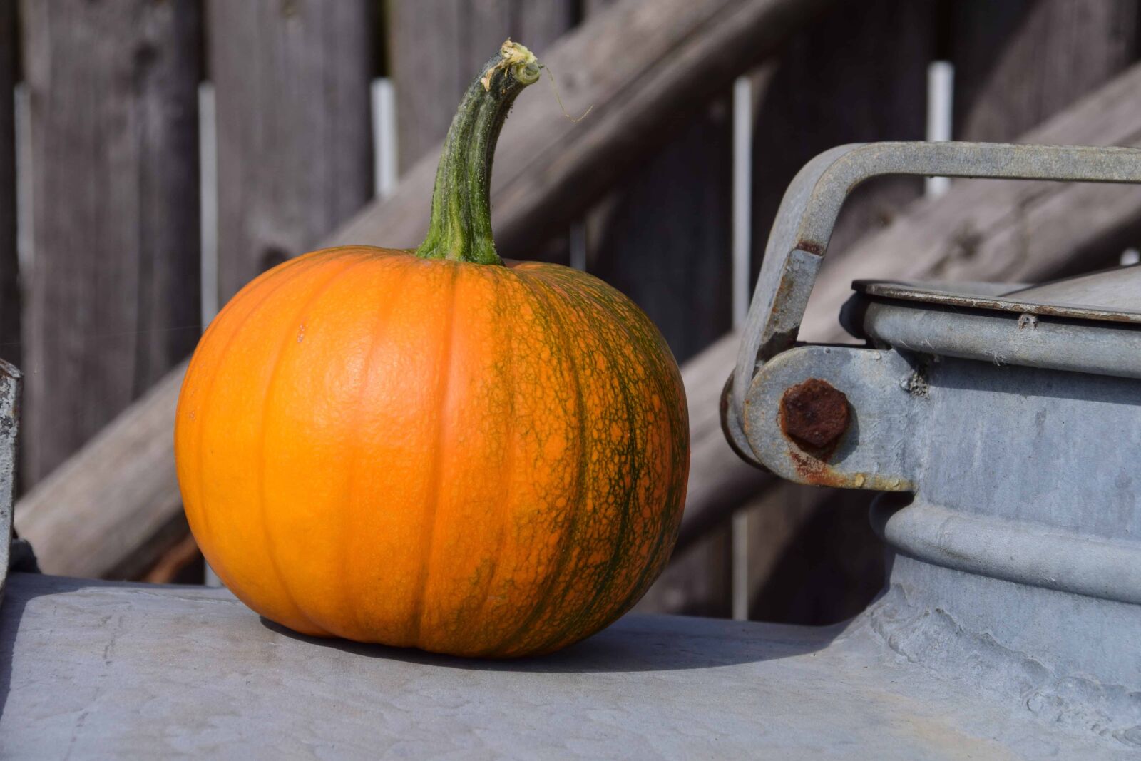 Nikon D3300 sample photo. Agriculture, gourd, food, indoor photography