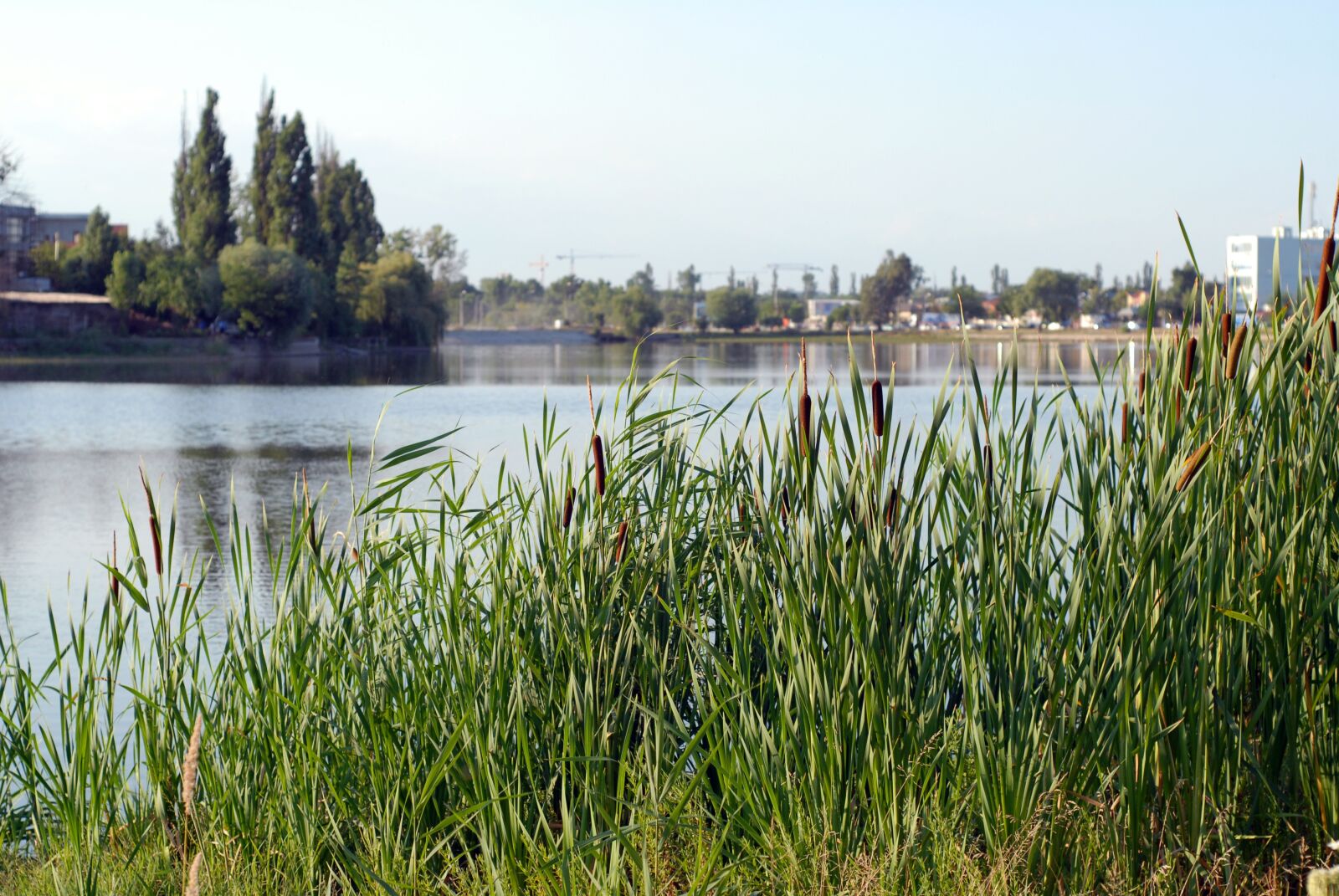 Nikon D200 sample photo. Lake, sky, water photography