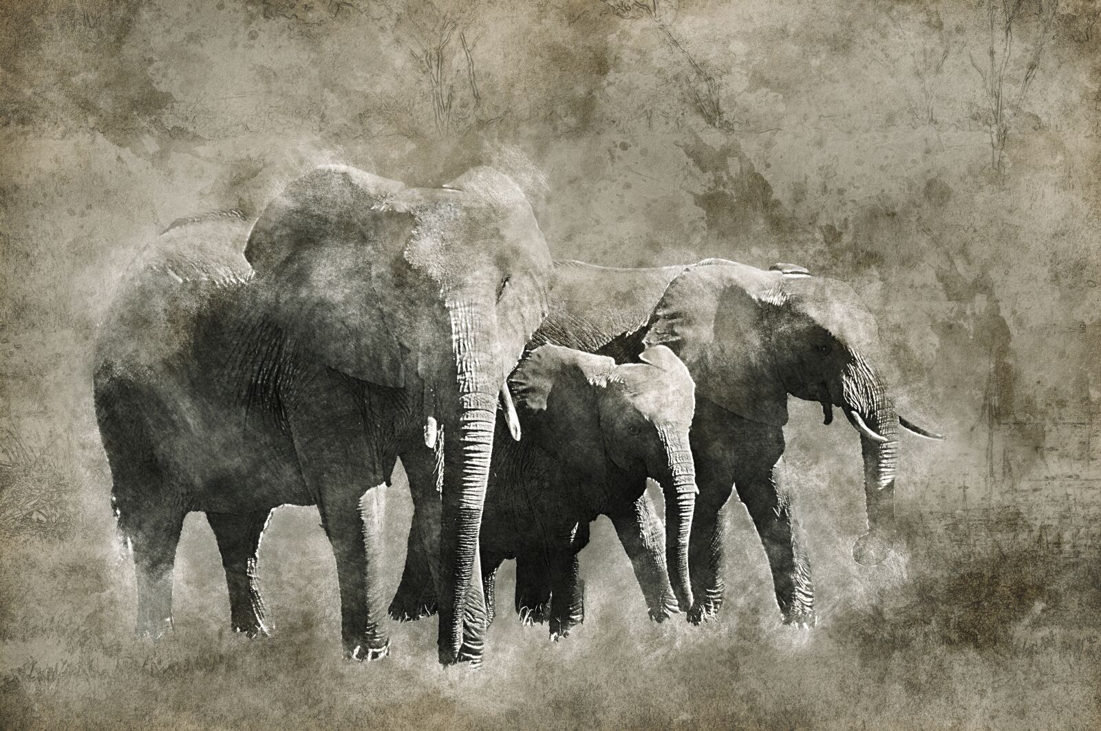 Nikon D90 sample photo. Elephant, africa, okavango delta photography