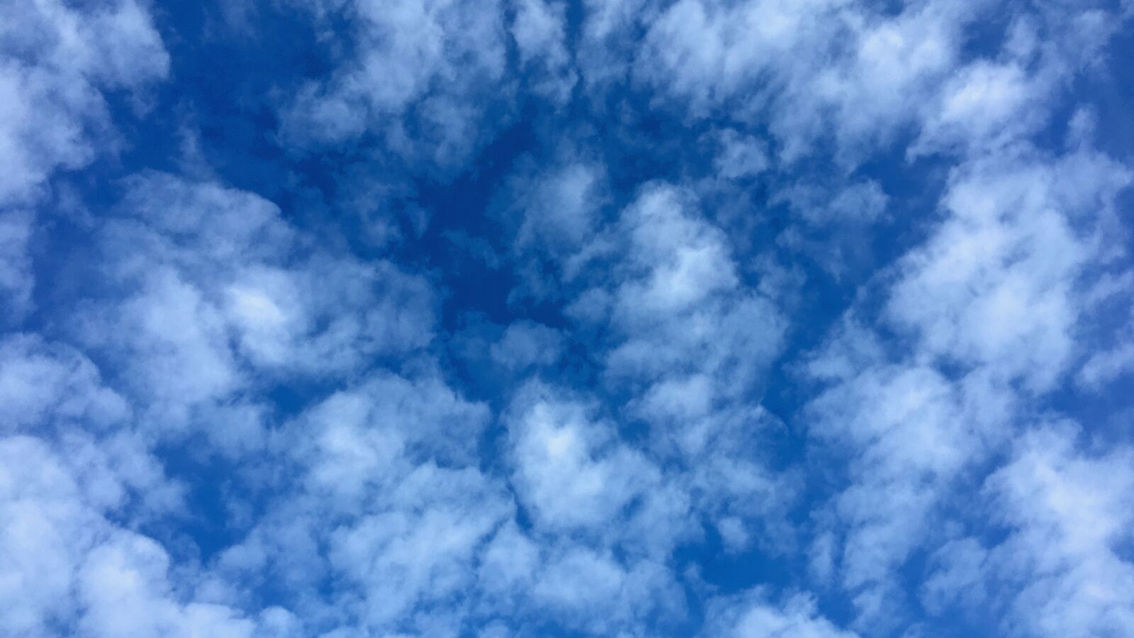 Apple iPhone 6s Plus sample photo. Sky, clouds, background photography