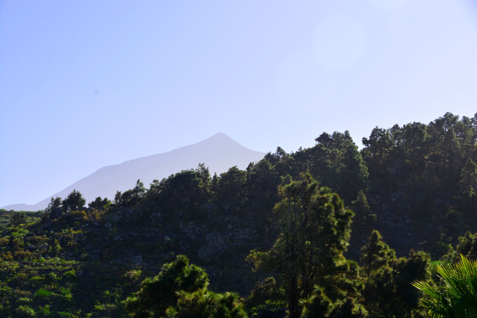 Nikon D7100 sample photo. Mountain, forest, mountains photography