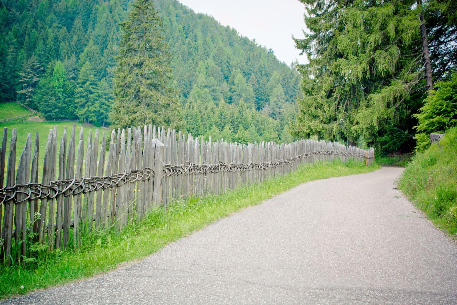 Nikon D7100 sample photo. Away, fence, wood fence photography