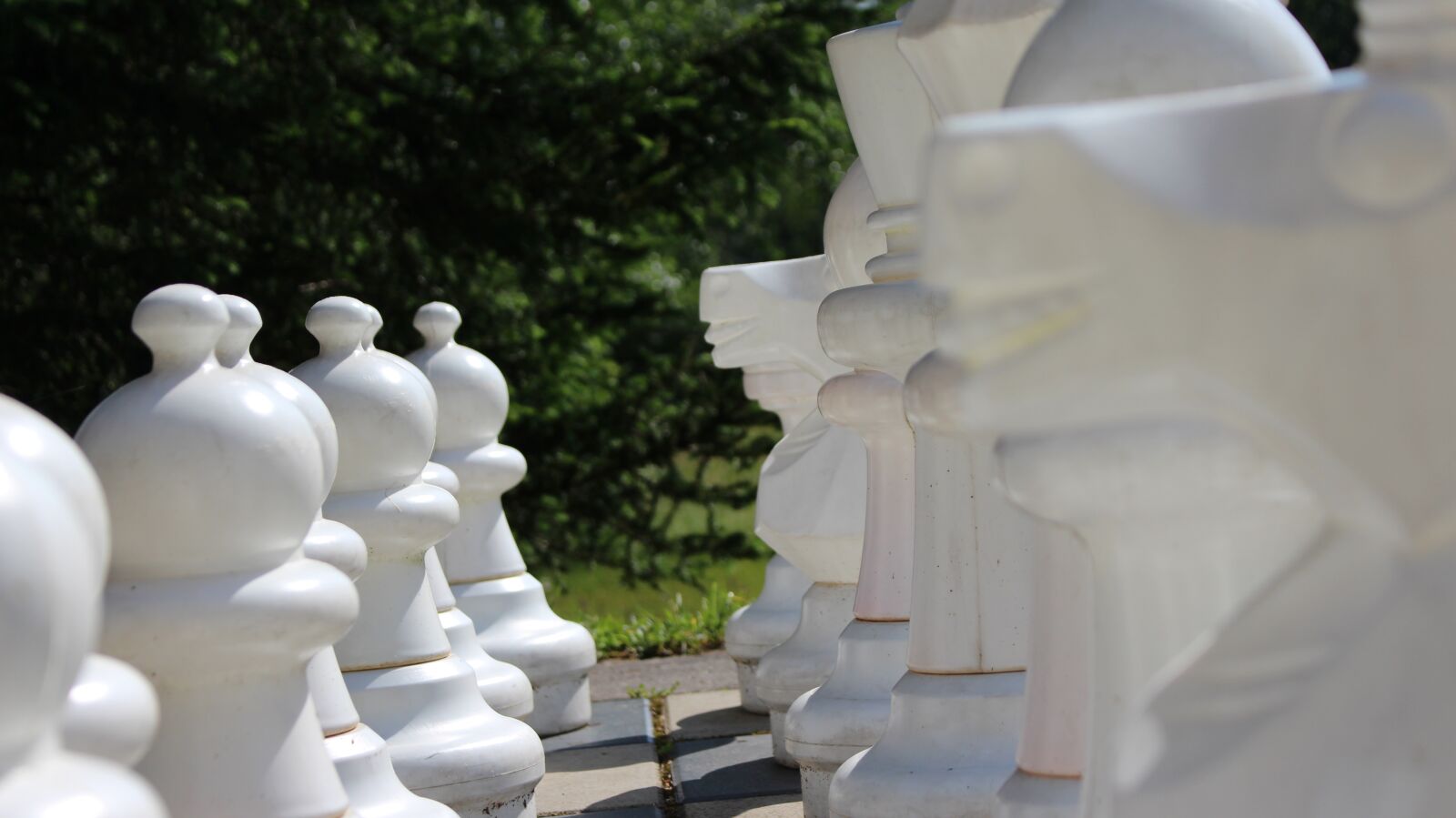 Canon EOS 700D (EOS Rebel T5i / EOS Kiss X7i) sample photo. Chess, chess board, park photography
