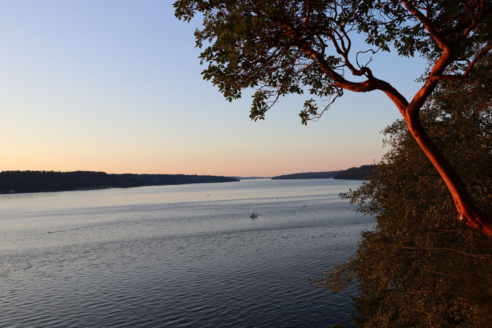 Canon EF-S 18-135mm F3.5-5.6 IS USM sample photo. Tree, sunset, water photography