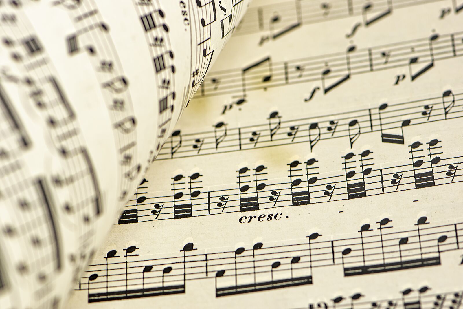 Nikon D5600 sample photo. Music, sheet music, piano photography
