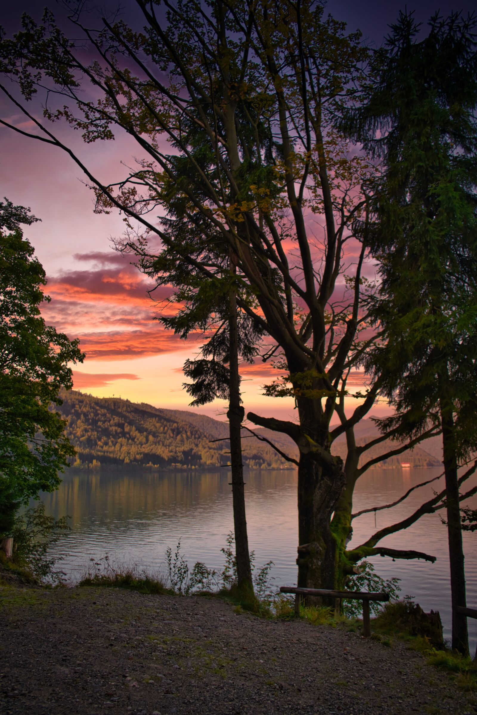 Nikon D800 sample photo. Lake, water, walchensee photography