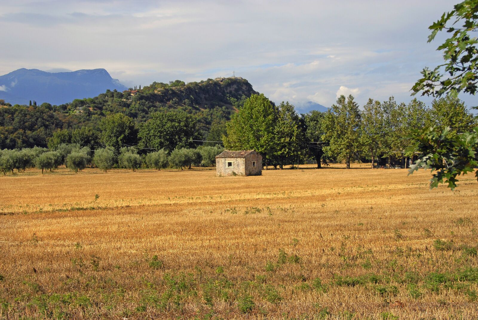 Nikon D200 sample photo. Landscape, field, nature photography