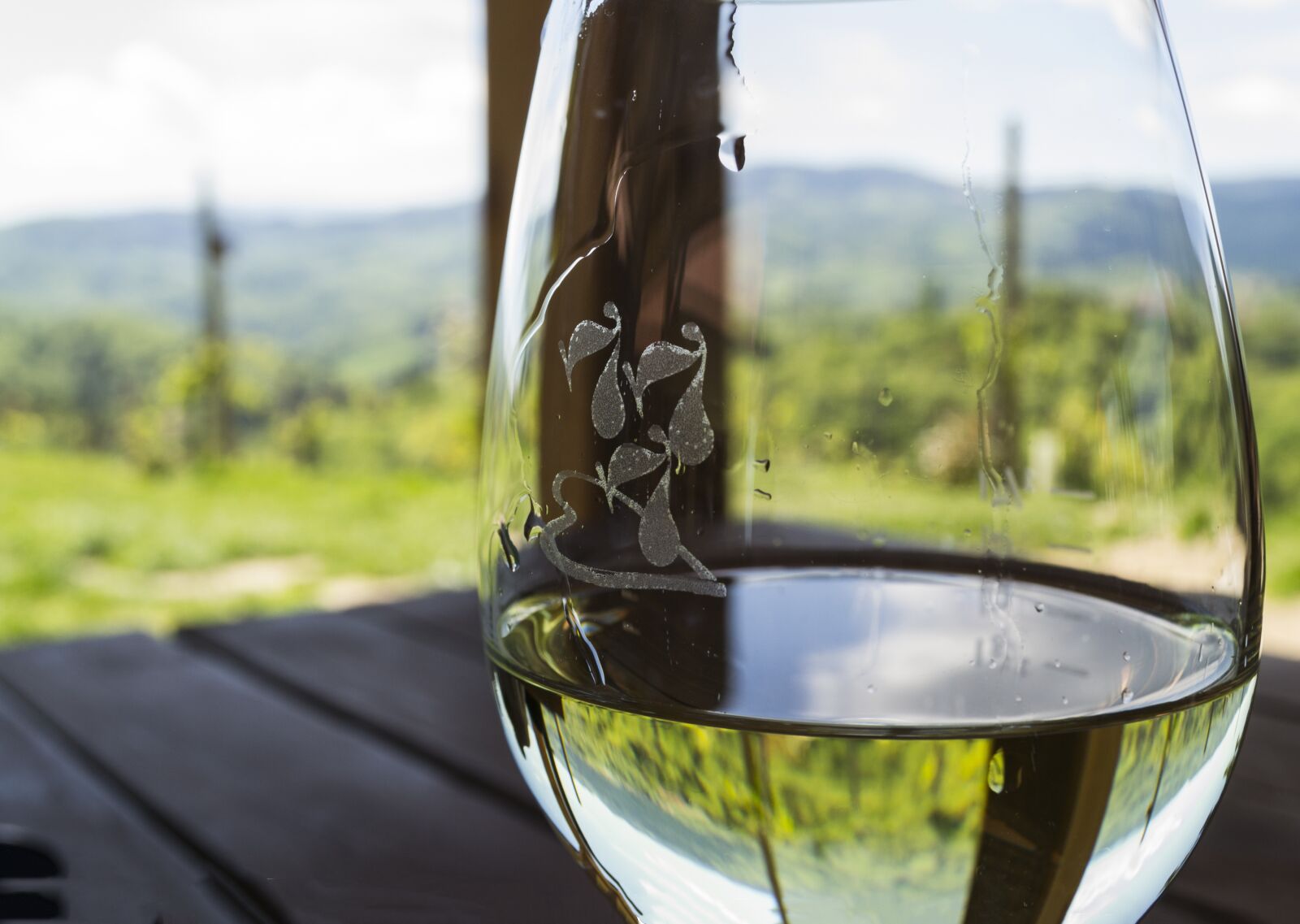 Nikon D3100 sample photo. Wine, glass of wine photography