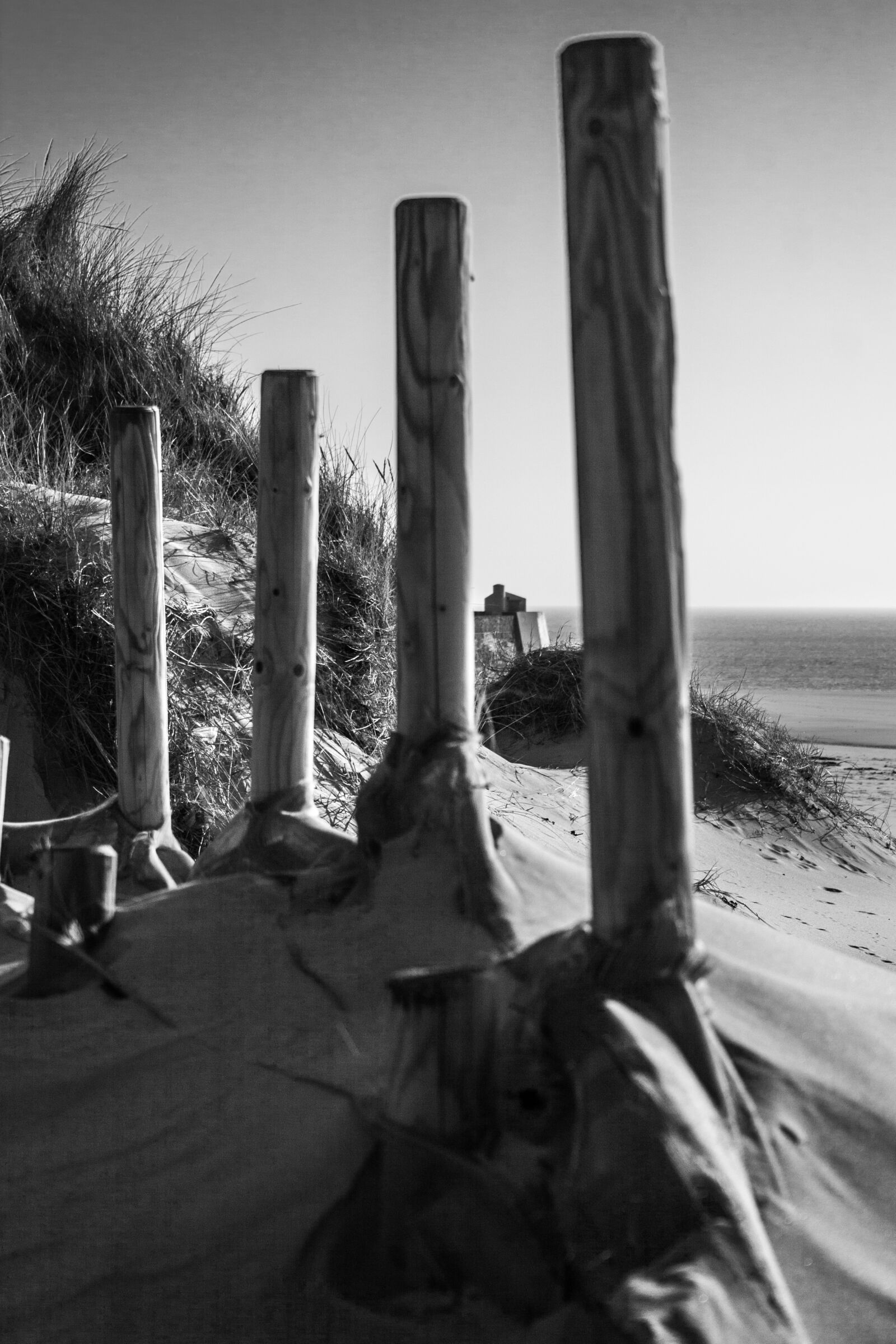 Canon EF-S 18-55mm F3.5-5.6 II sample photo. Dune, wood, beach photography