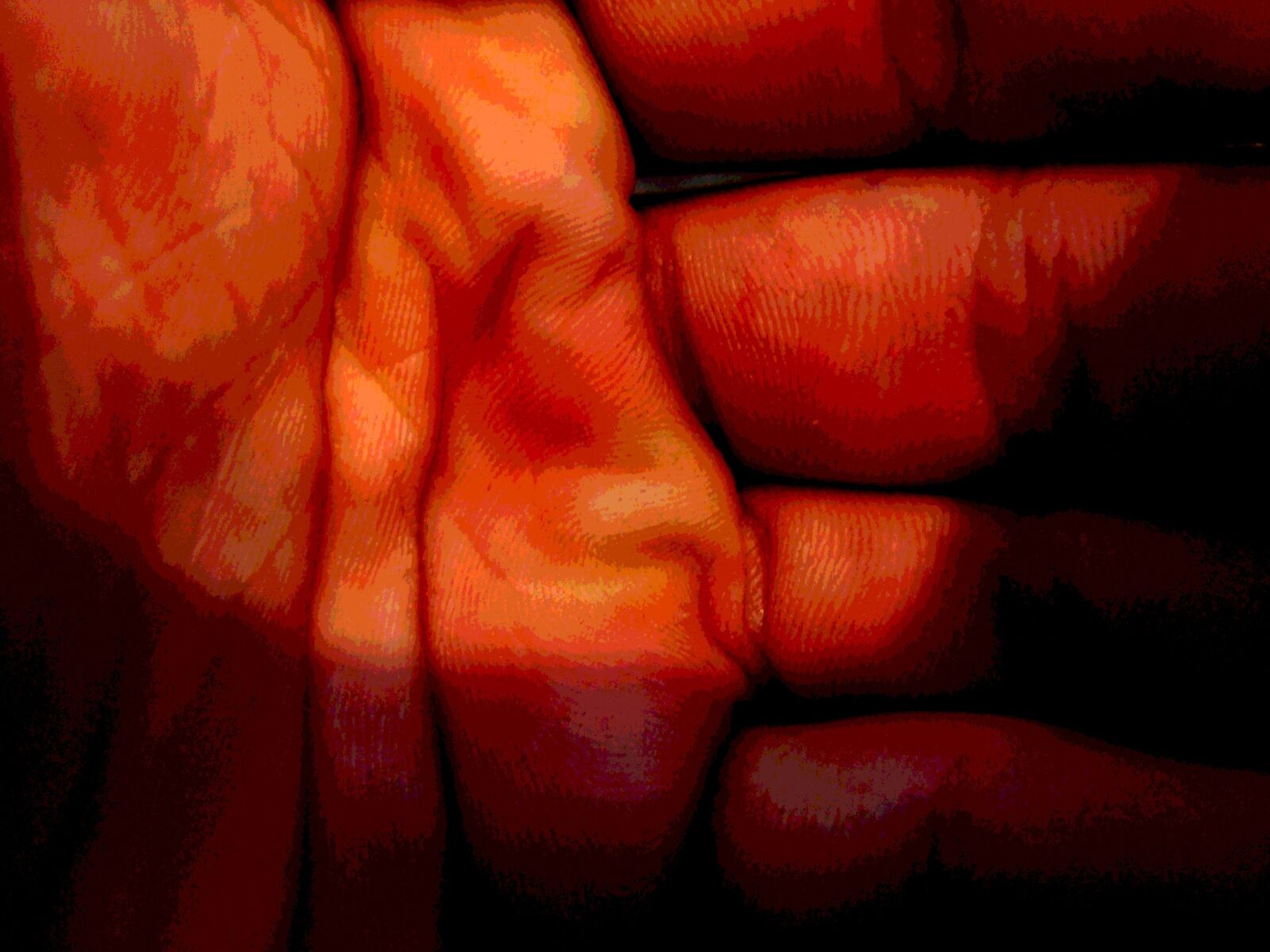 Sony Cyber-shot DSC-W120 sample photo. Hand, palm, life line photography