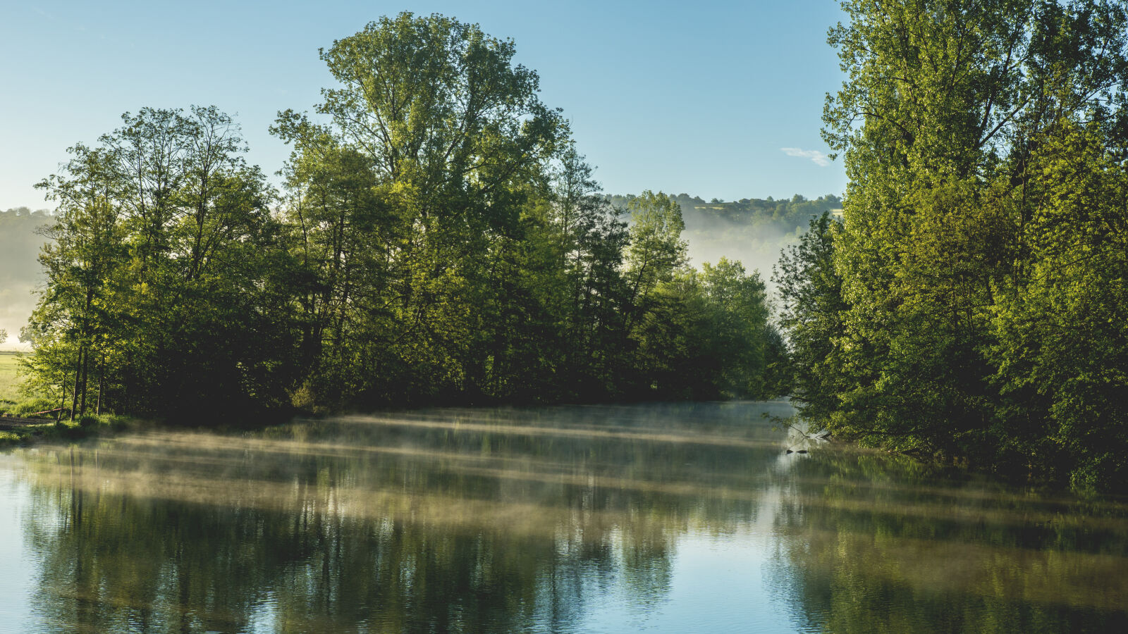 24-70mm F2.8-2.8 SSM sample photo. Daylight, foggy, forest, idyllic photography