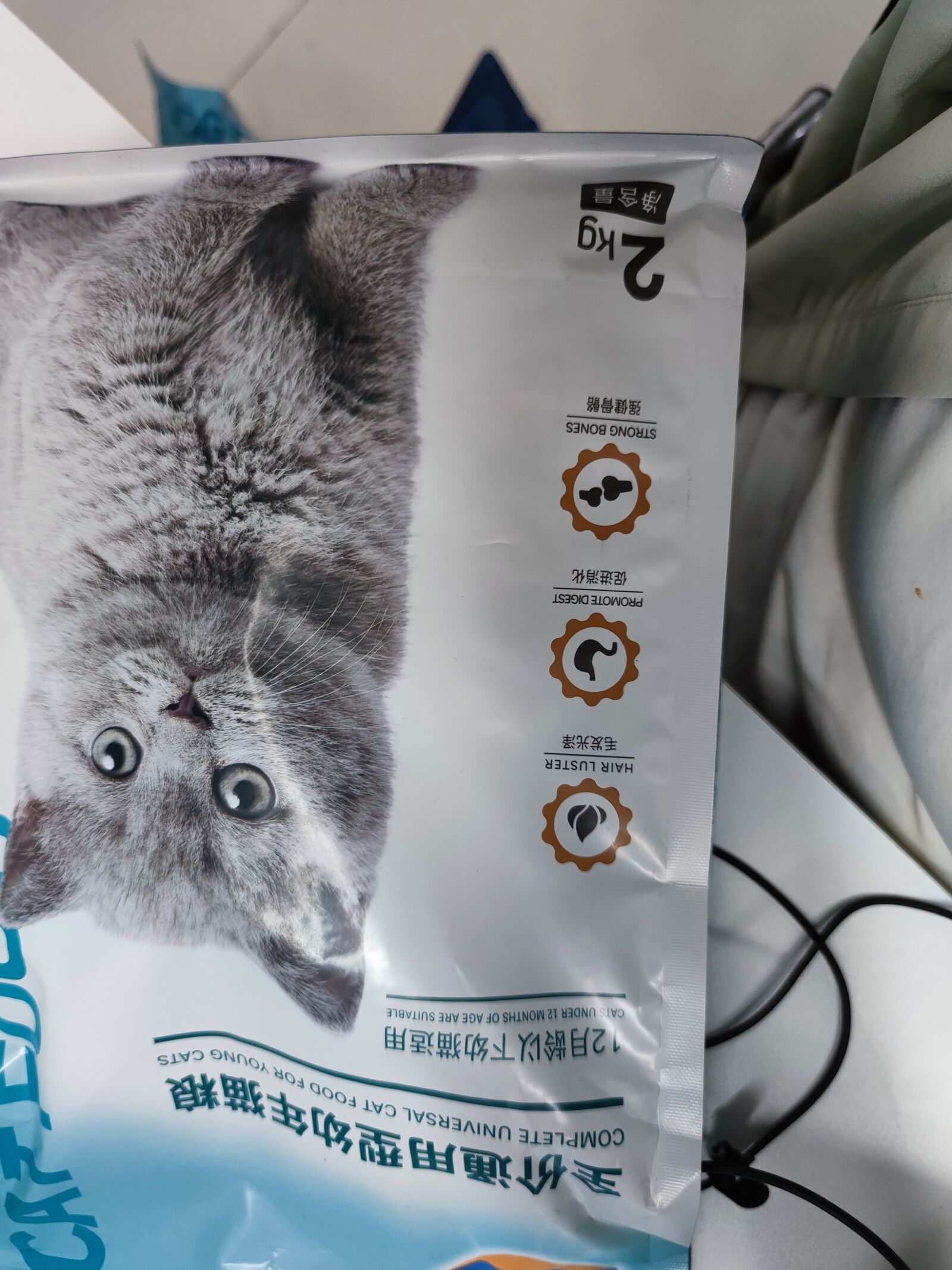 Xiaomi Mi 10 sample photo. Cat, food, pet photography