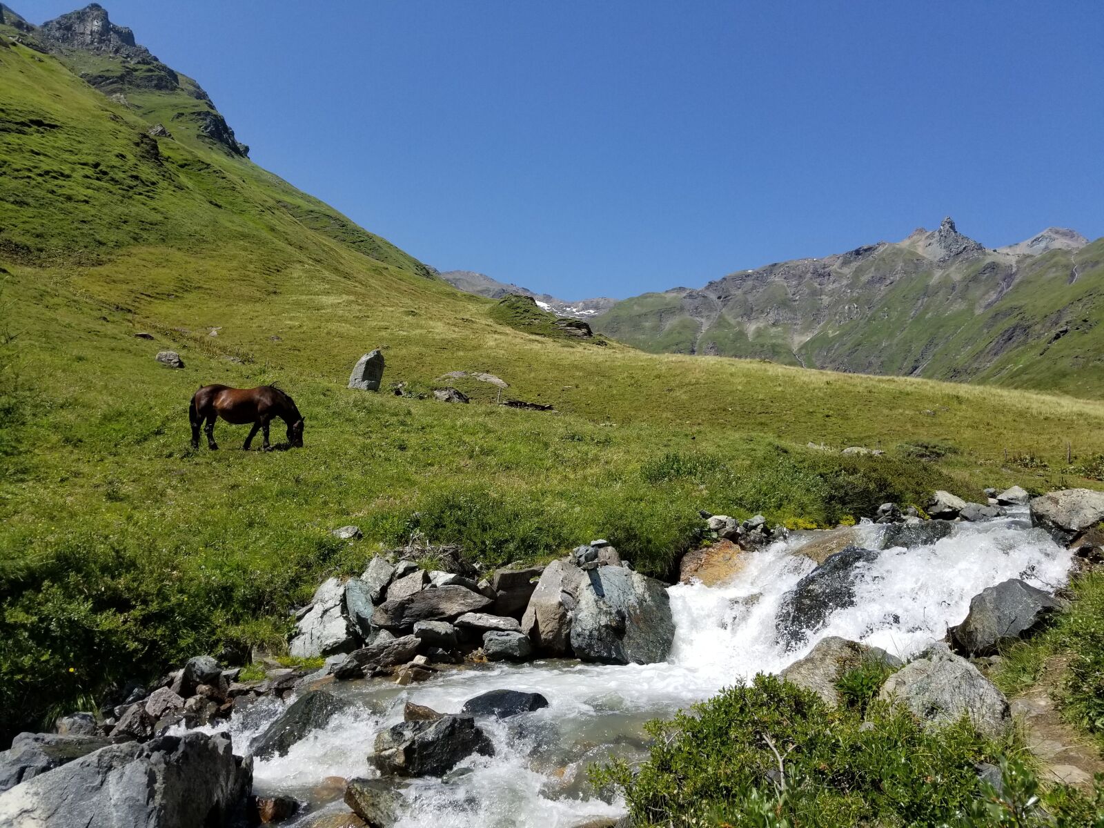 Samsung Galaxy S8 sample photo. Mountain, horses, stream photography
