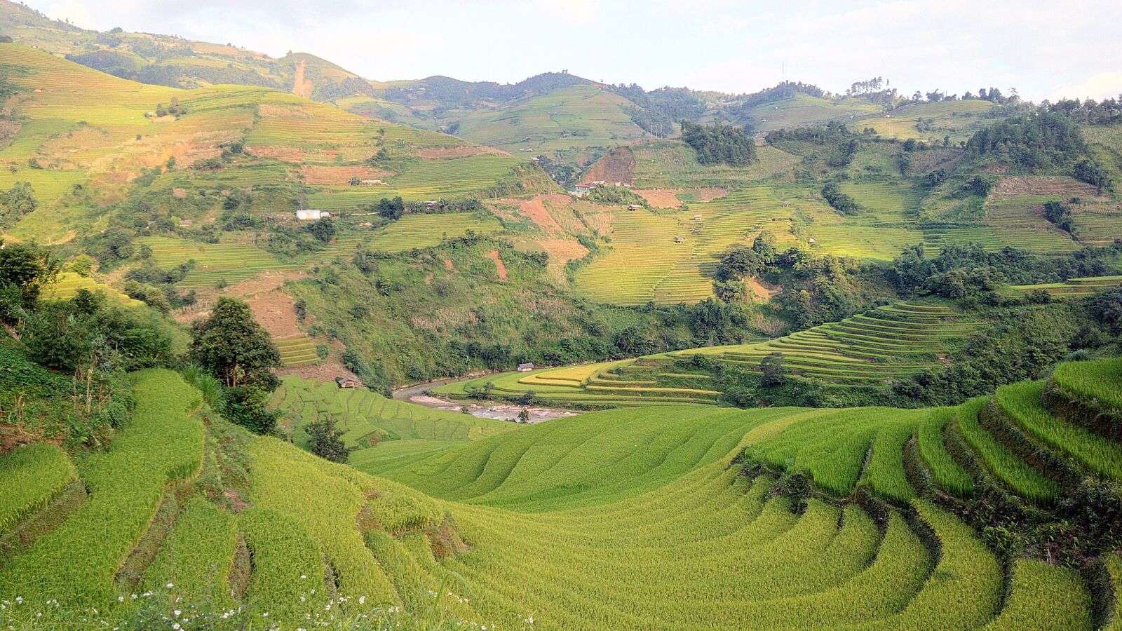 ASUS X013D sample photo. Rice field, terraces, mountain photography