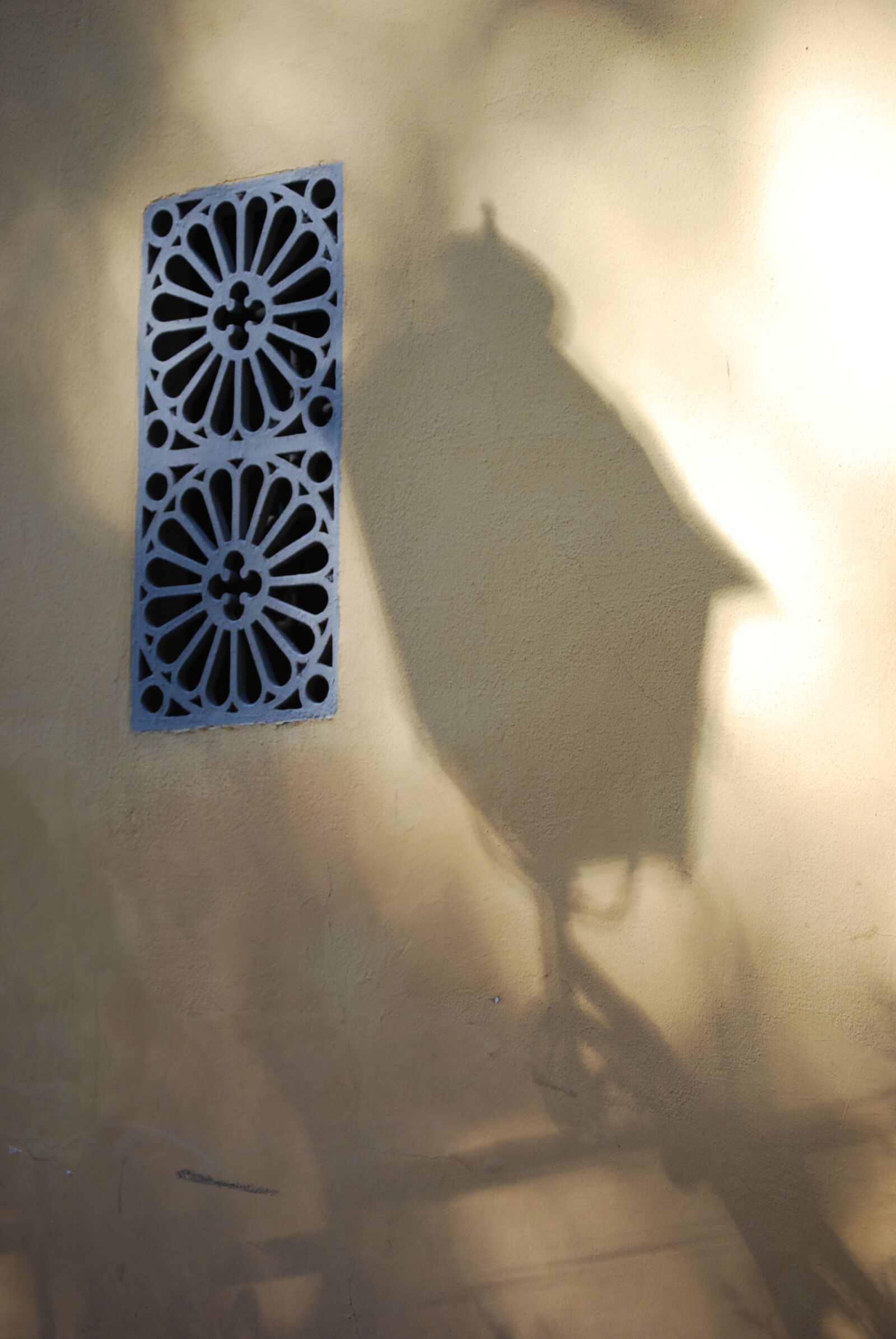 Nikon D40X sample photo. Shadow, lamp, florence photography