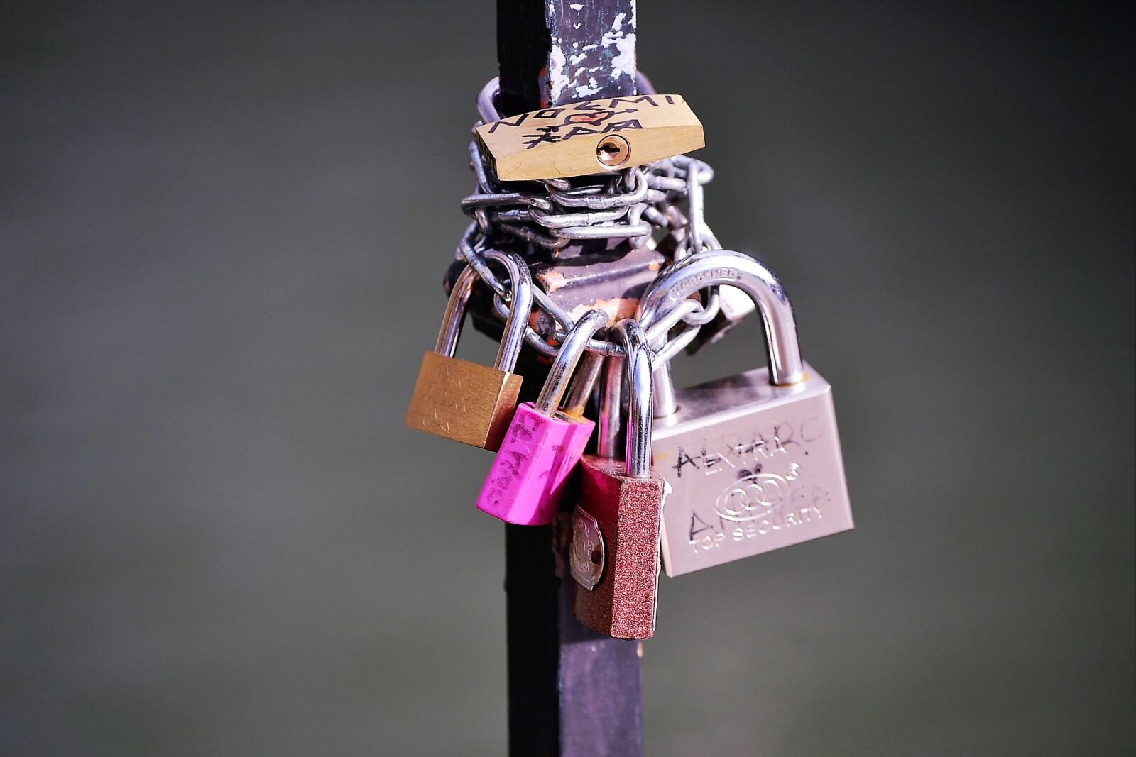 Nikon D3100 sample photo. Padlocks, bridge, romantic photography