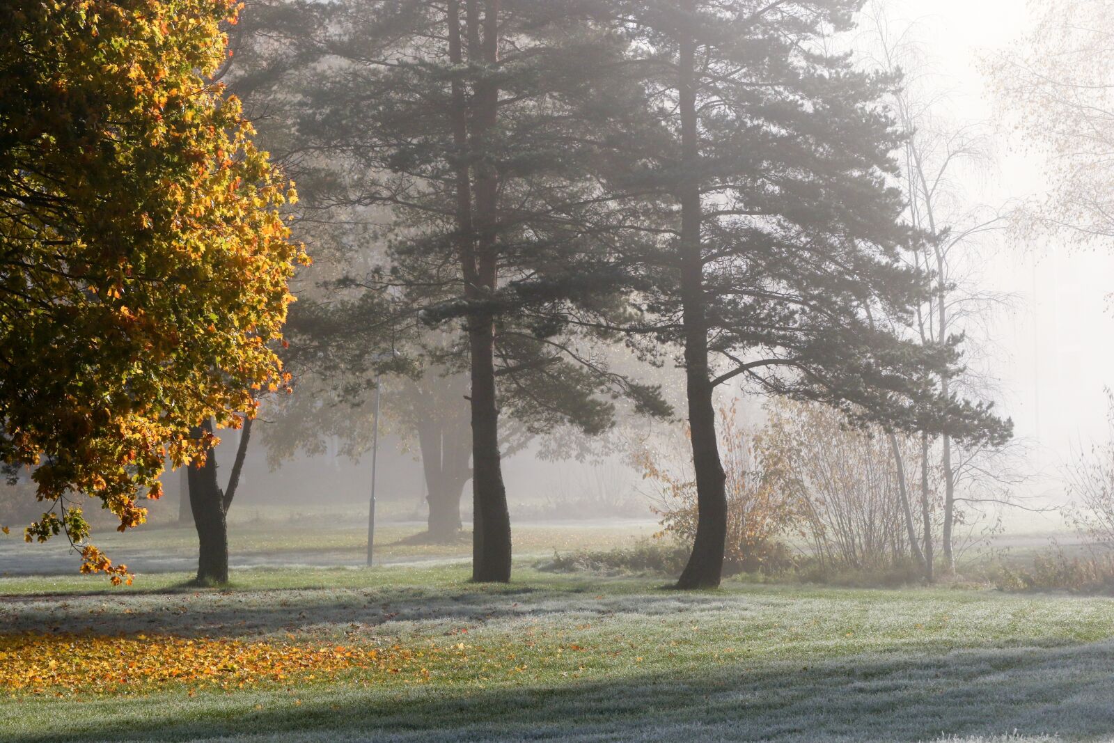 Canon EOS 7D Mark II sample photo. Landscape, autumn, fall photography