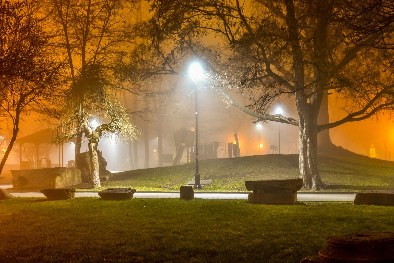 Nikon D3400 sample photo. Night, park, lights photography