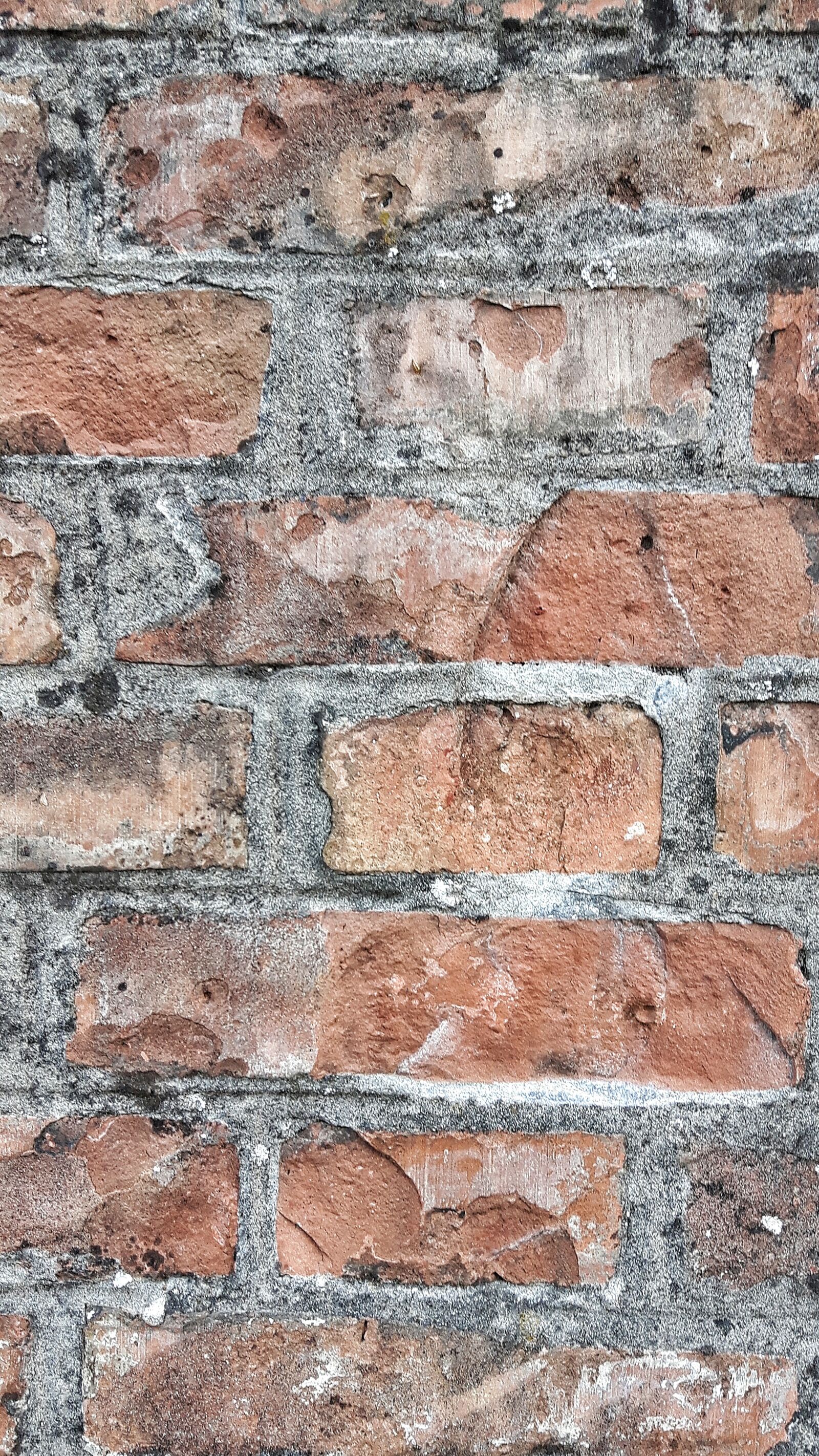 Samsung Galaxy S5 Neo sample photo. Wall, color, texture photography