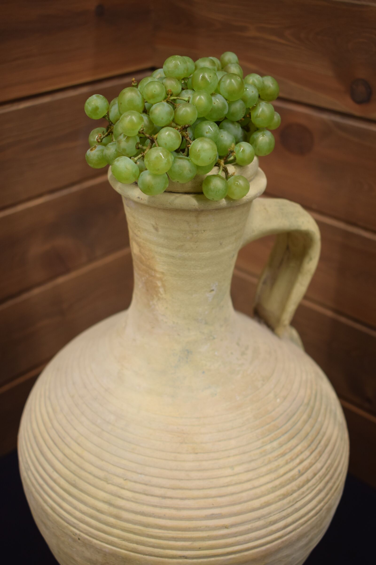 Nikon D3300 sample photo. Grape, vine, wine photography