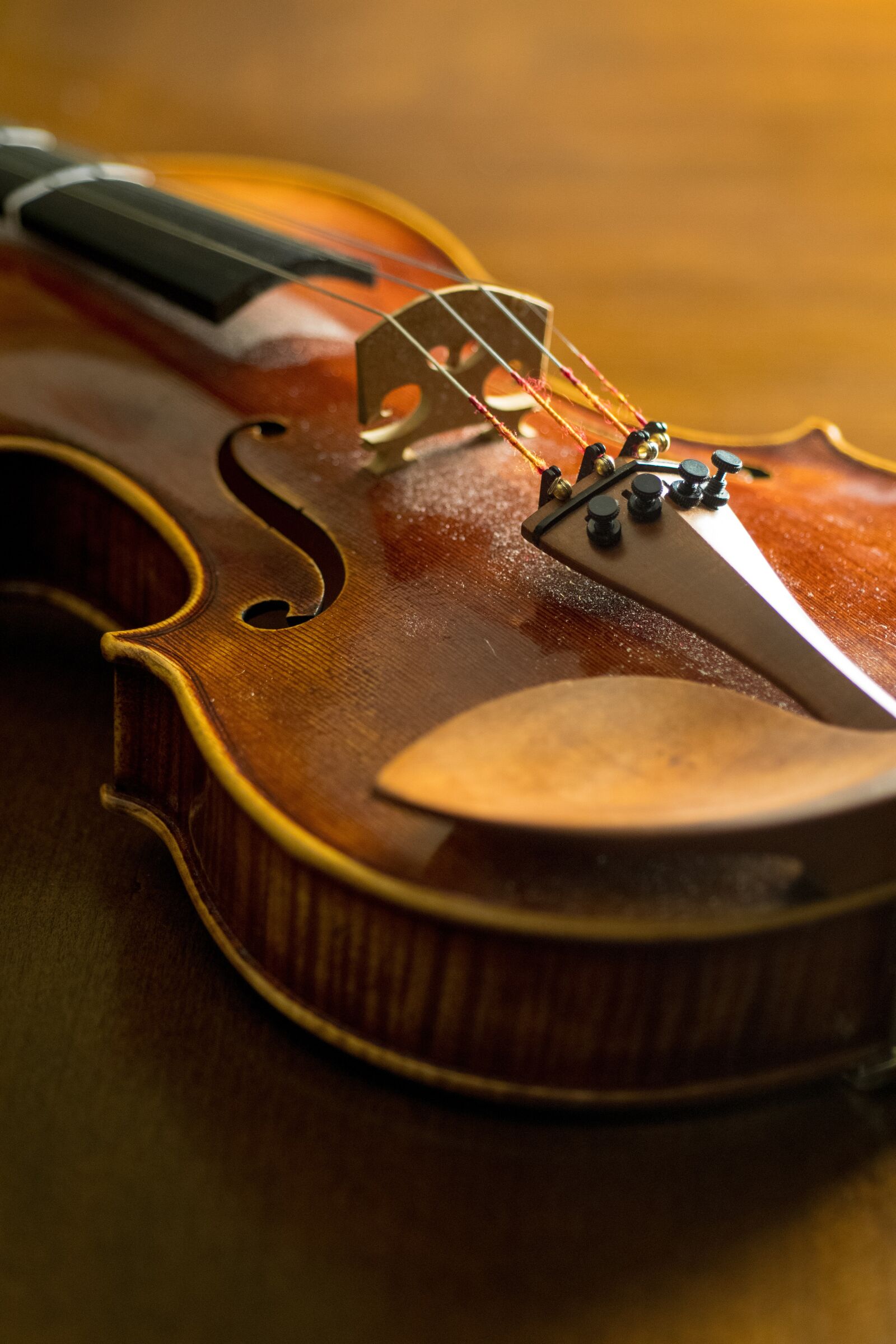 Nikon D500 sample photo. Wood, bowed stringed instrument photography