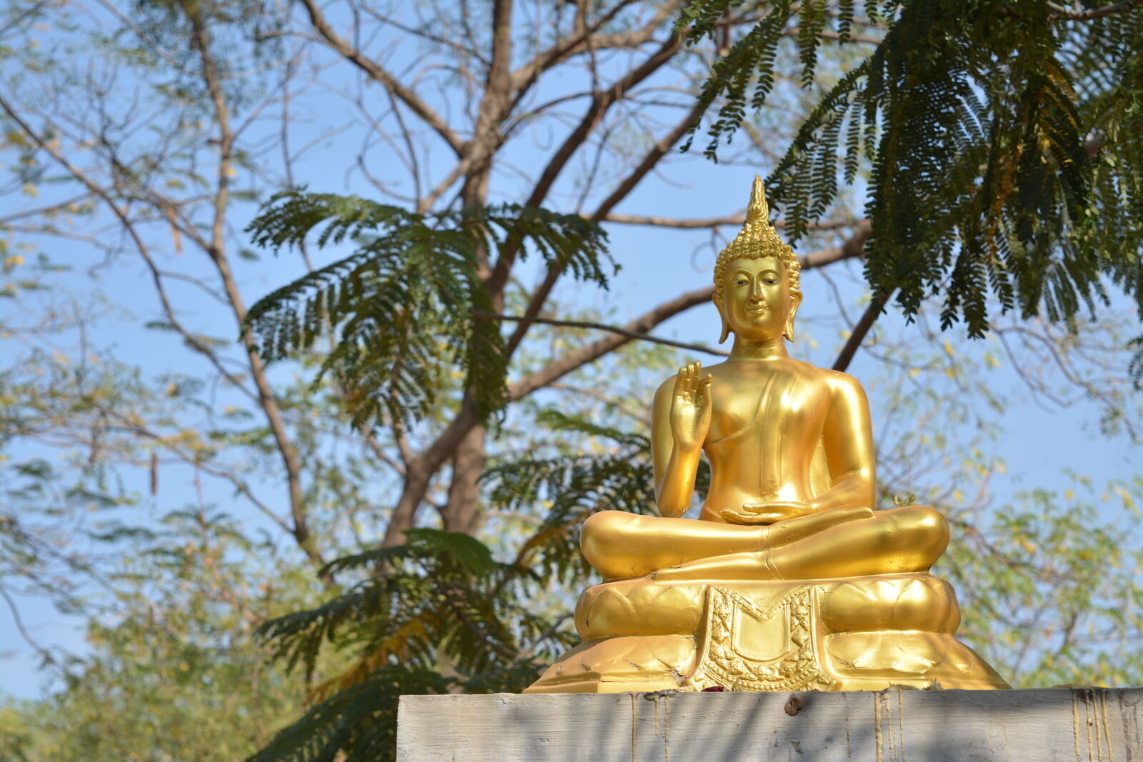 Nikon D5200 sample photo. Buddha, buddhism, gold, nature photography