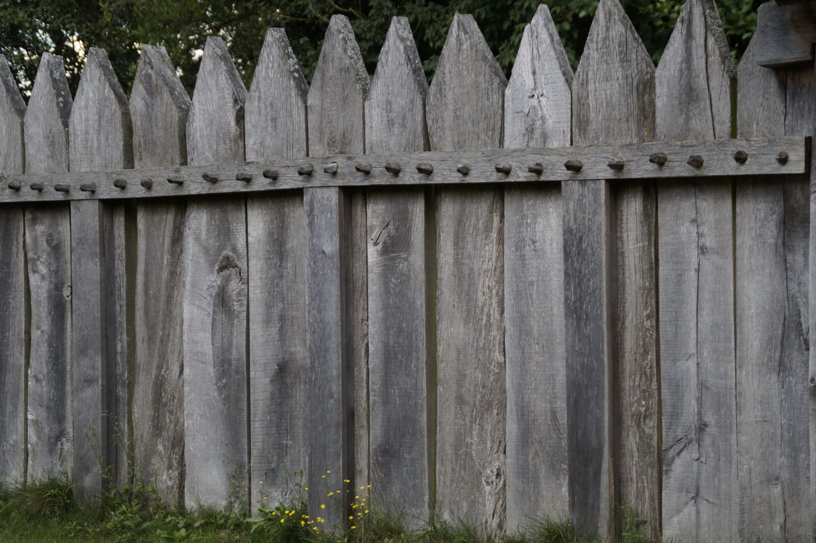 Sony SLT-A58 sample photo. Palisade, fence, boards photography