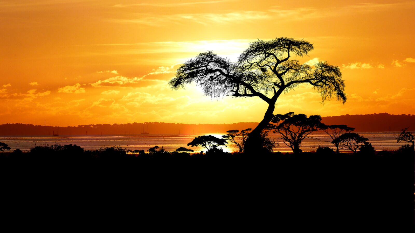 Panasonic Lumix DMC-FZ200 sample photo. Sunset, nature, sea photography