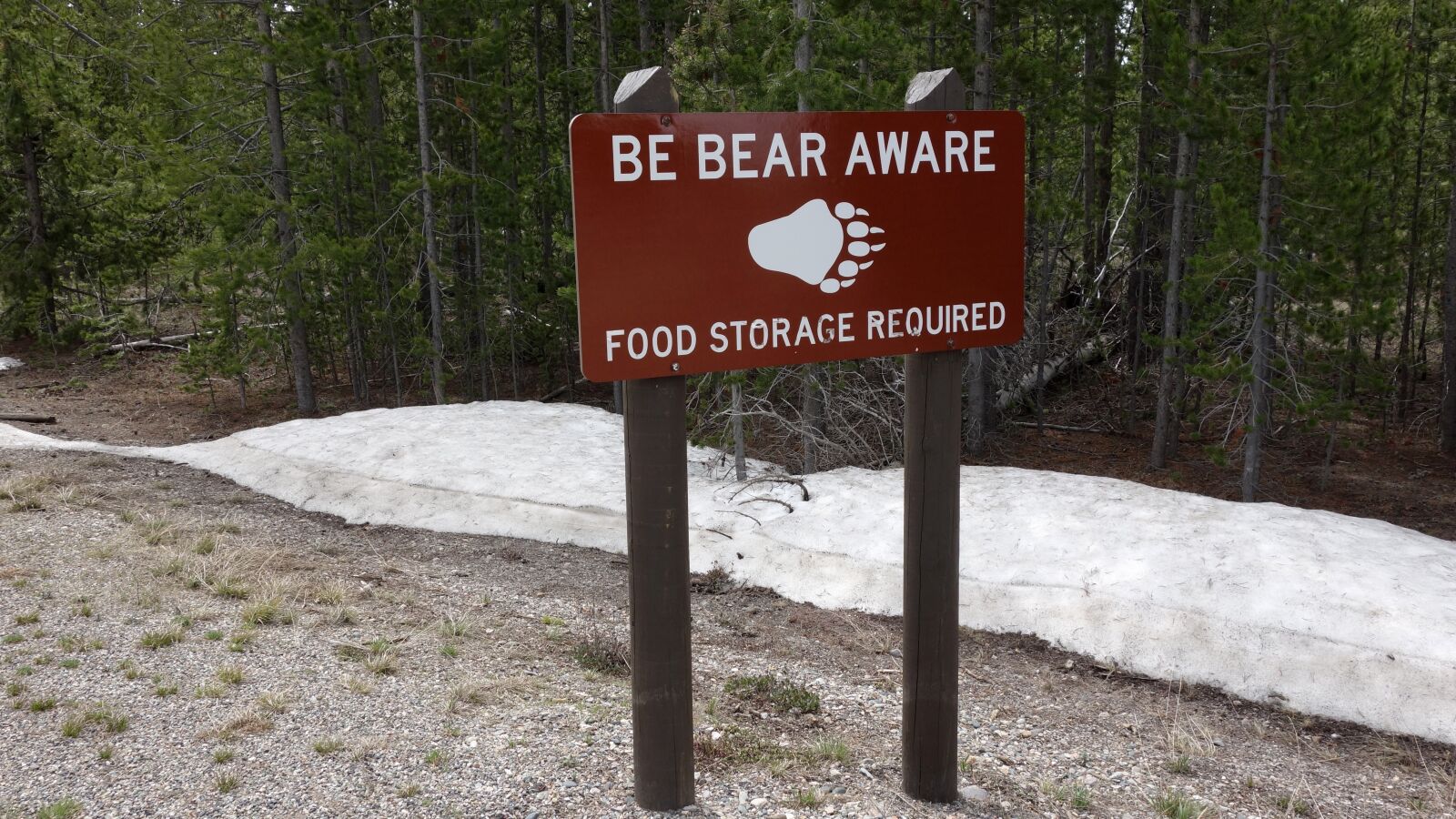Sony Cyber-shot DSC-RX100 sample photo. Bears, warning, warning sign photography