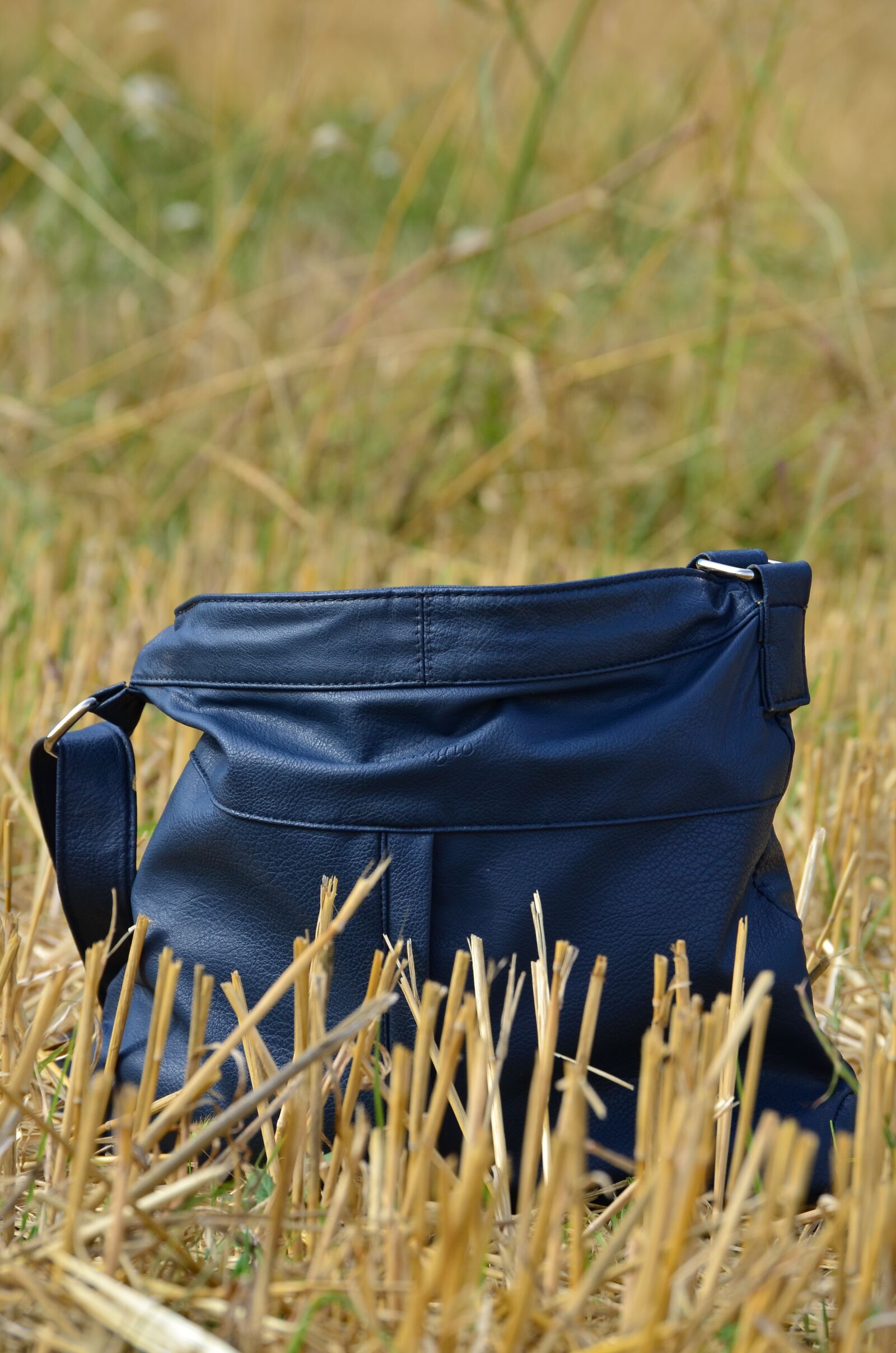 Nikon D5100 sample photo. Field, summer, sun photography