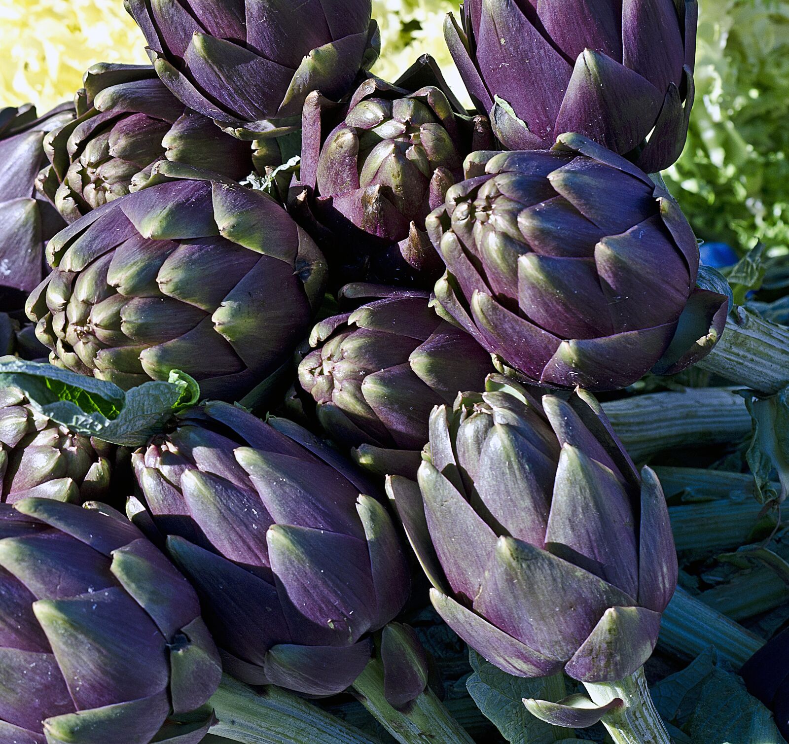 Nikon D5100 sample photo. Flora, nature, food photography