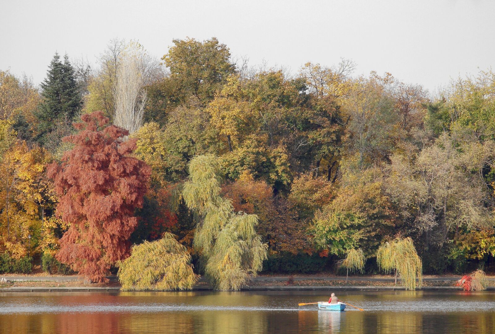 Canon EOS 60D + Canon EF-S 55-250mm F4-5.6 IS STM sample photo. Autumn, trees, lake photography