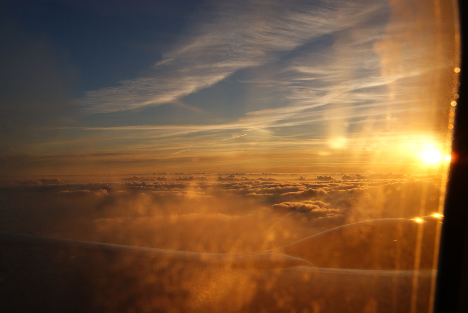Sony Alpha DSLR-A230 sample photo. Airplane, dew, plane, sky photography
