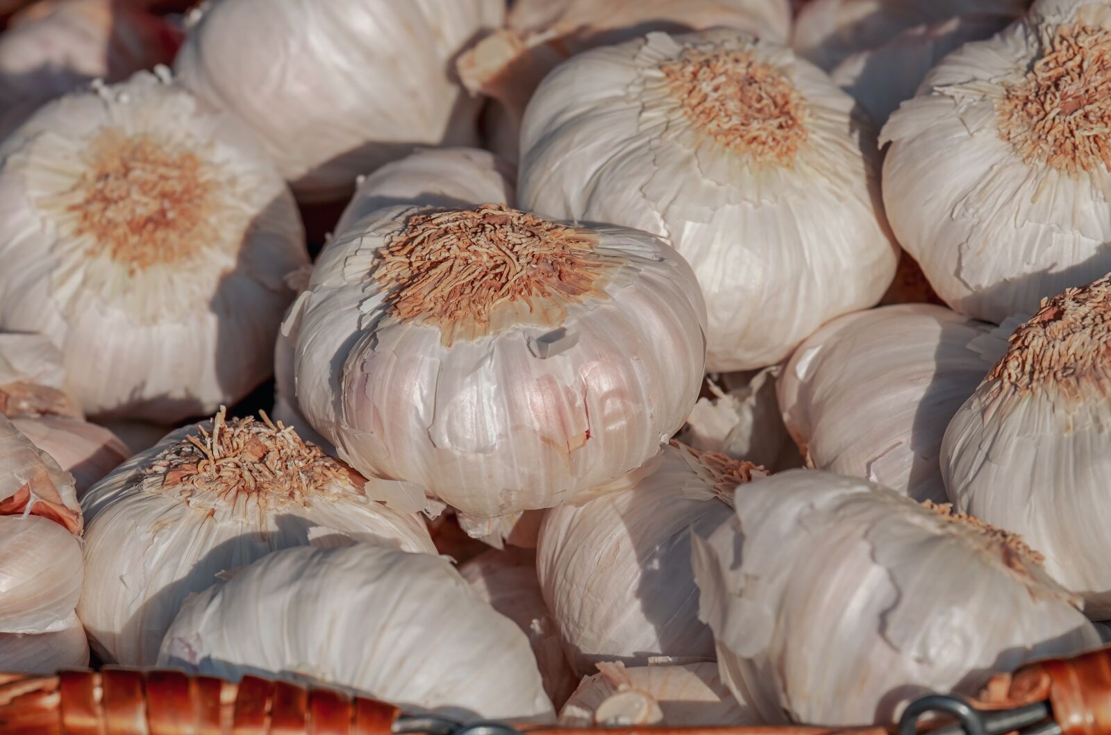 Fujifilm XF 55-200mm F3.5-4.8 R LM OIS sample photo. Garlic, herb, smell photography
